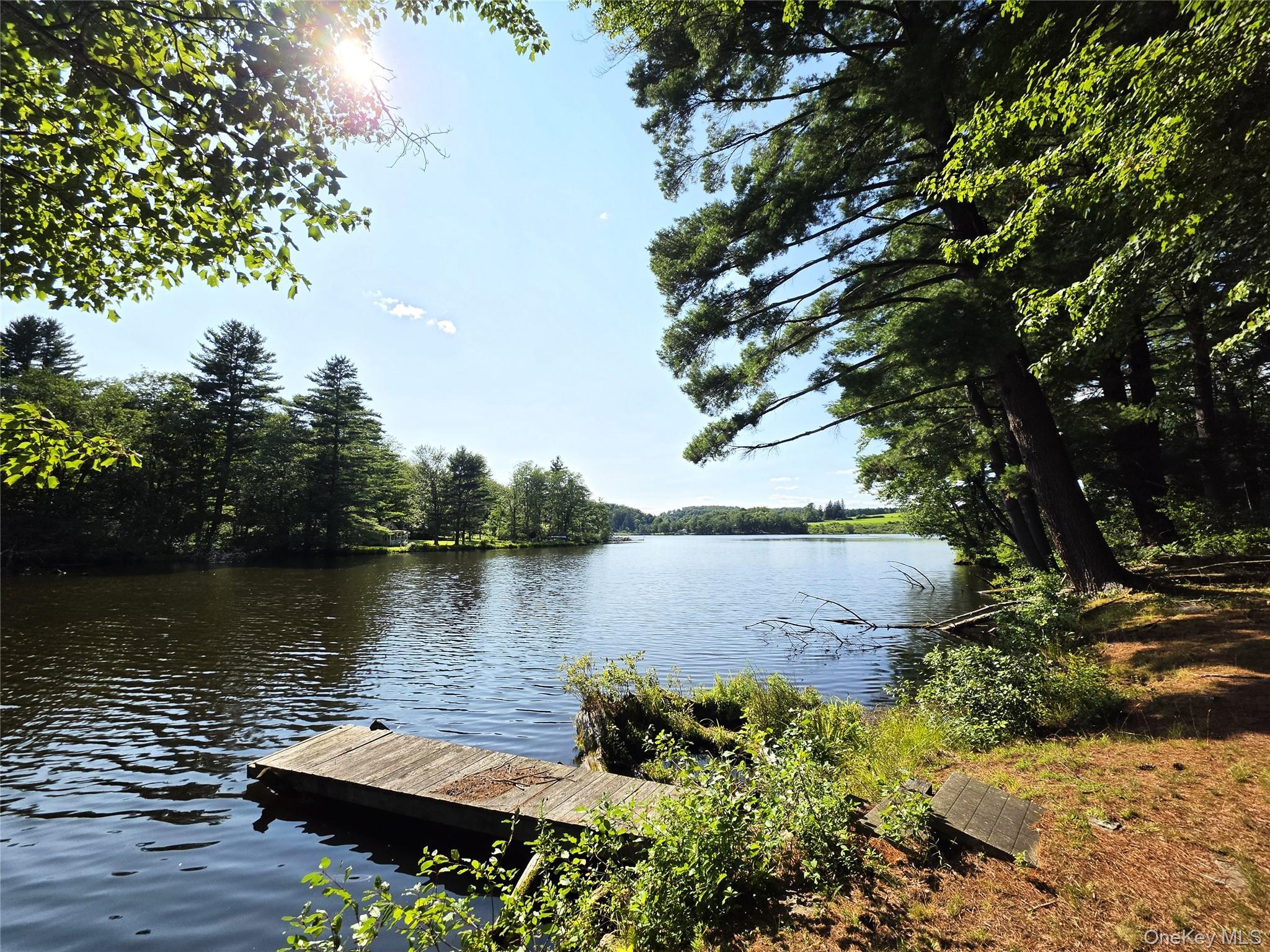 Single Family George Segar Road Sullivan County, NY 12783, MLS-1033069-33