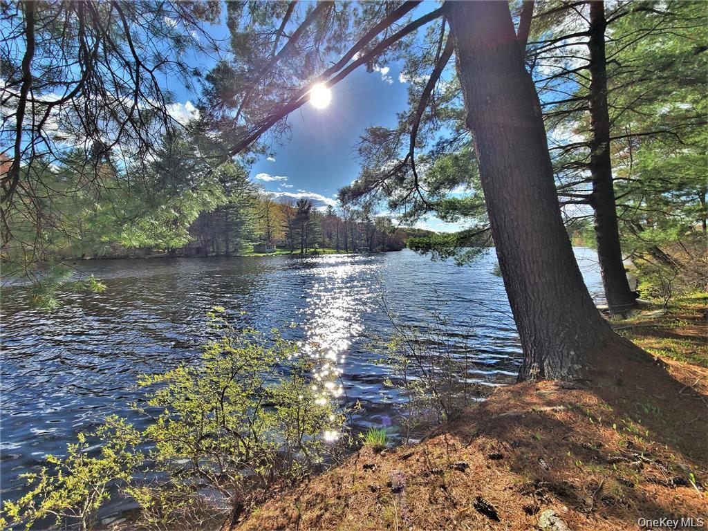 Single Family George Segar Road Sullivan County, NY 12783, MLS-1033069-35