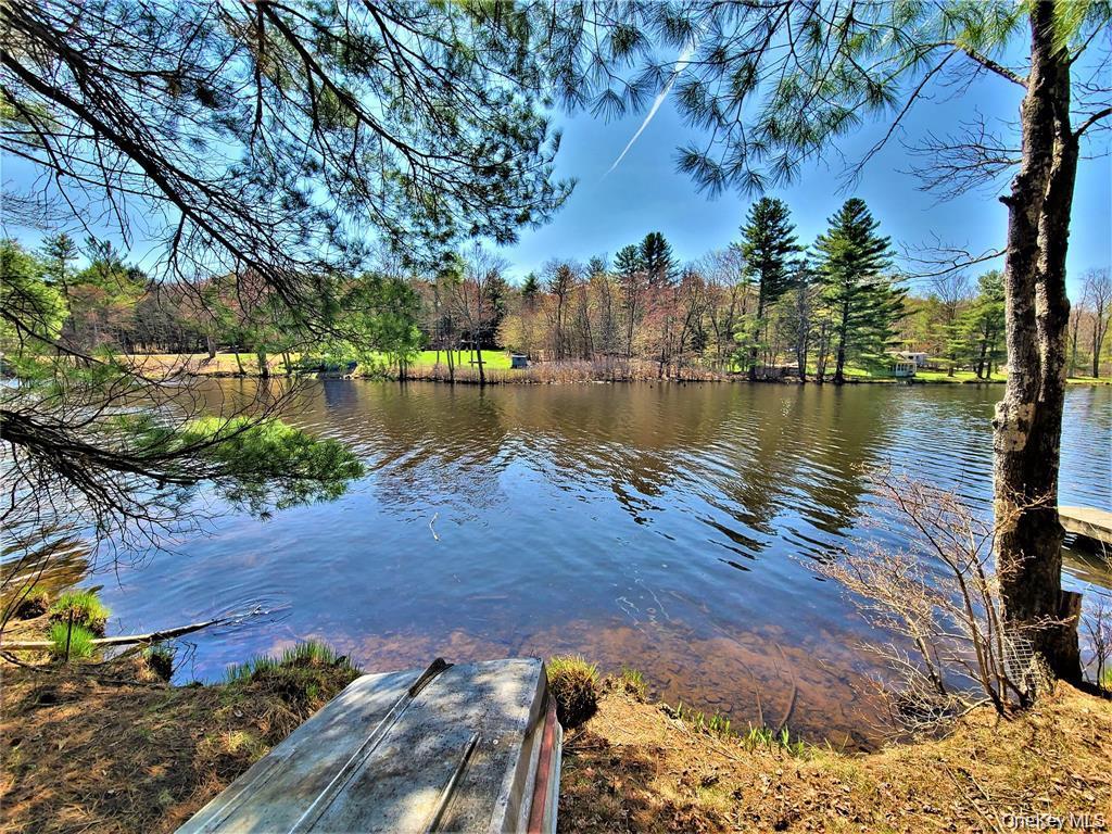 Single Family George Segar Road Sullivan County, NY 12783, MLS-1033069-36