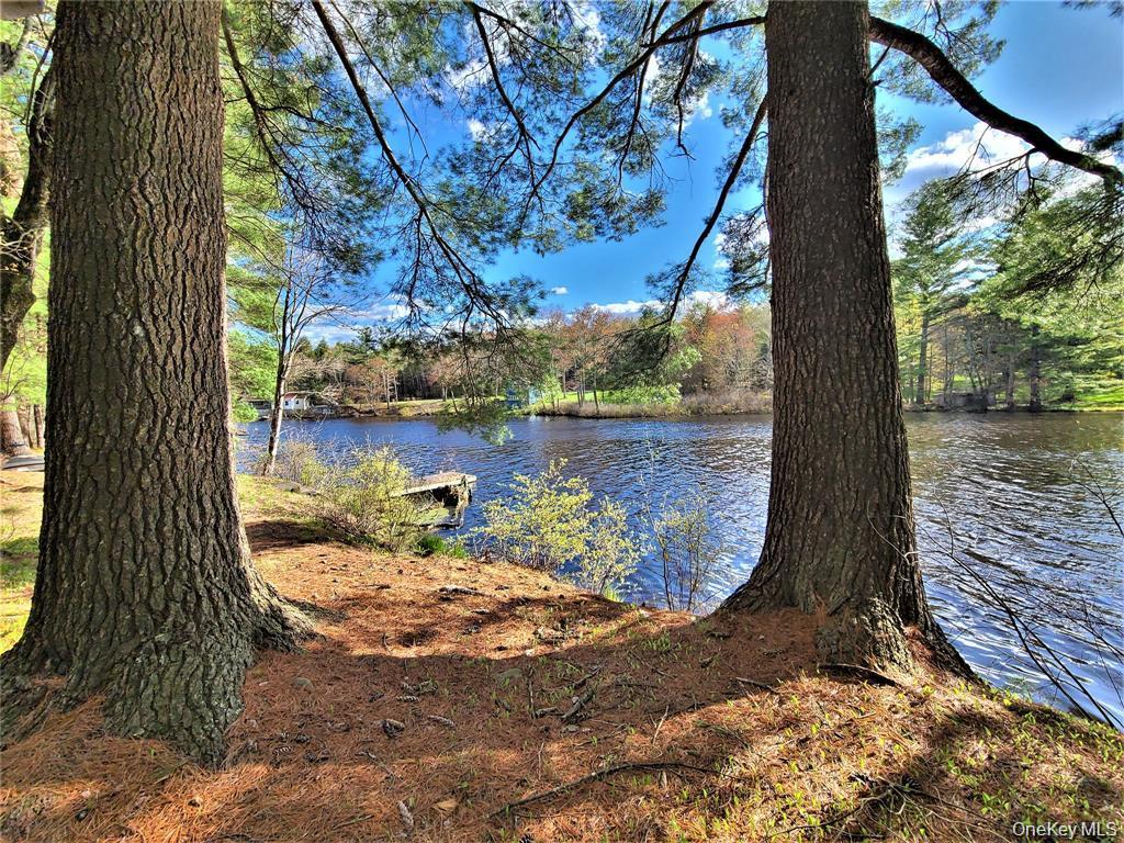 Single Family George Segar Road Sullivan County, NY 12783, MLS-1033069-37