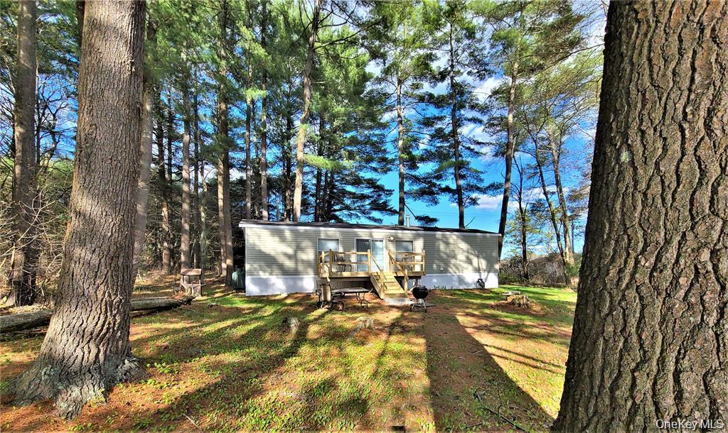 Single Family George Segar Road Sullivan County, NY 12783, MLS-1033069-38