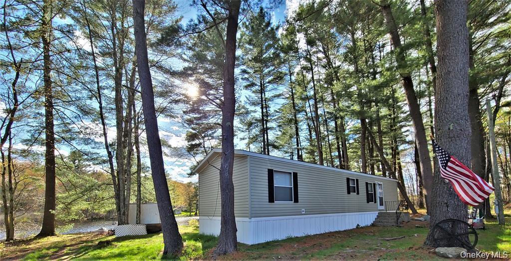Single Family George Segar Road Sullivan County, NY 12783, MLS-1033069-46
