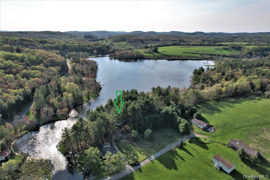 Single Family George Segar Road Sullivan County, NY 12783, MLS-1033069-6