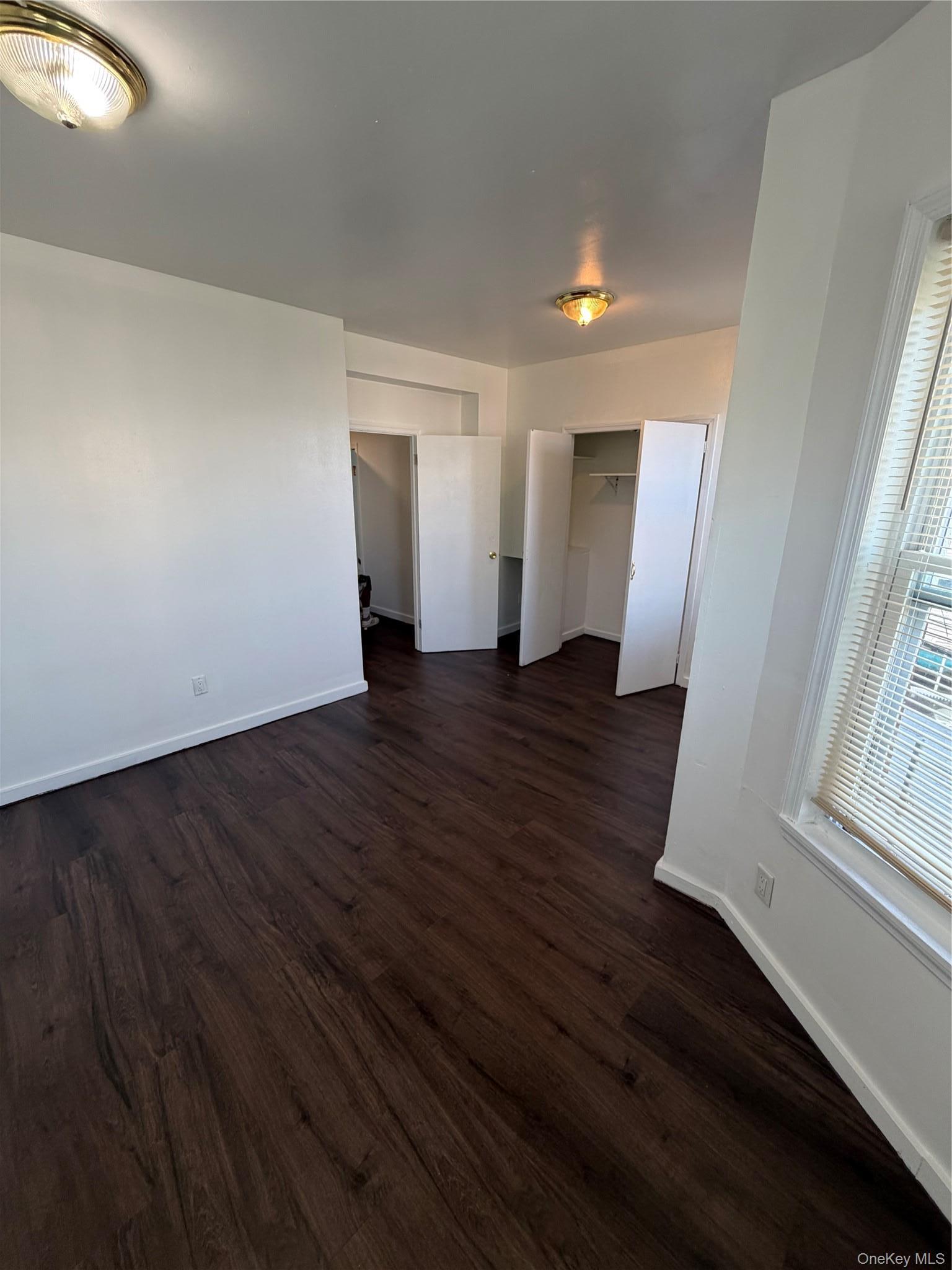 Apartment Chestnut Street  Brooklyn, NY 11208, MLS-1033081-10