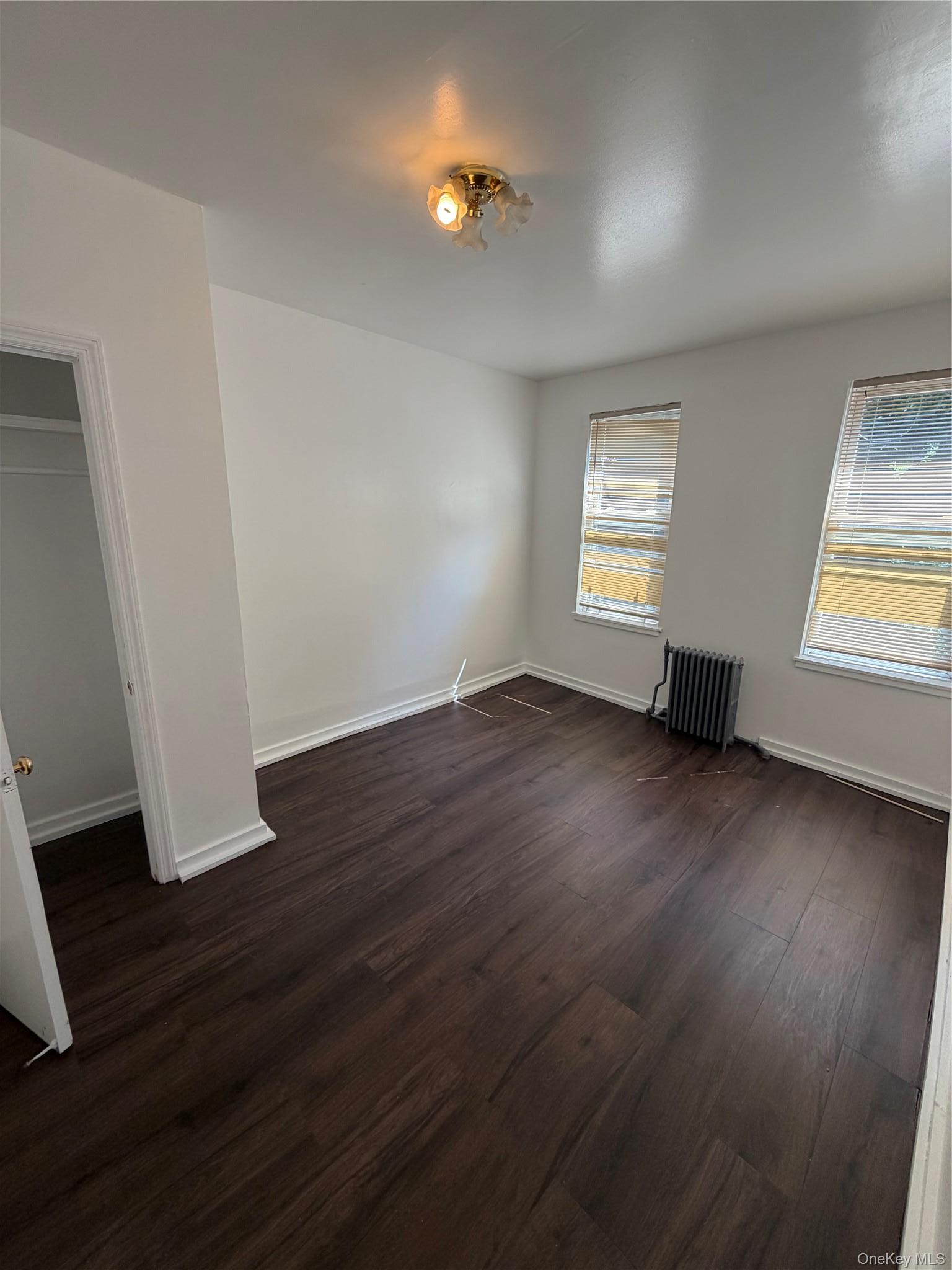 Apartment Chestnut Street Brooklyn, NY 11208, MLS-1033081-2