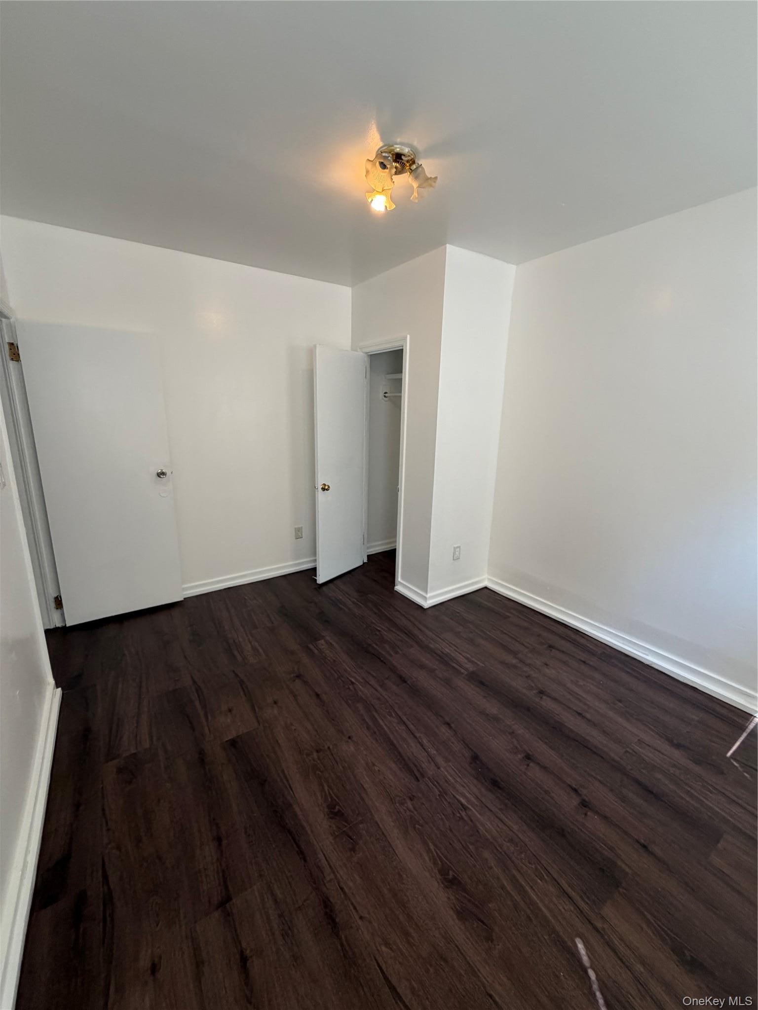 Apartment Chestnut Street Brooklyn, NY 11208, MLS-1033081-3