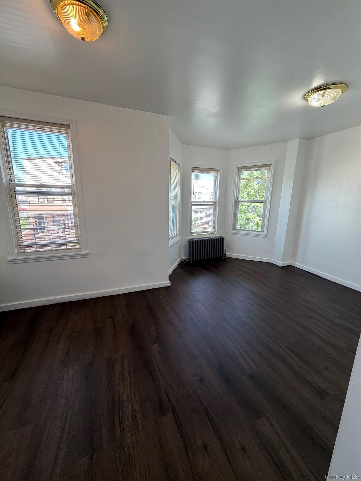 Apartment Chestnut Street Brooklyn, NY 11208, MLS-1033081-7