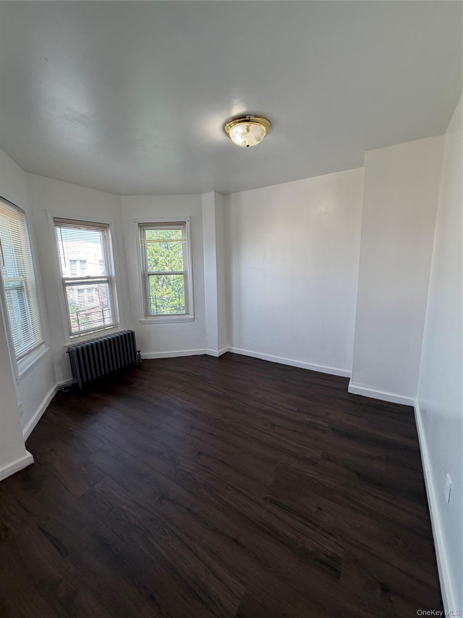 Apartment Chestnut Street Brooklyn, NY 11208, MLS-1033081-8