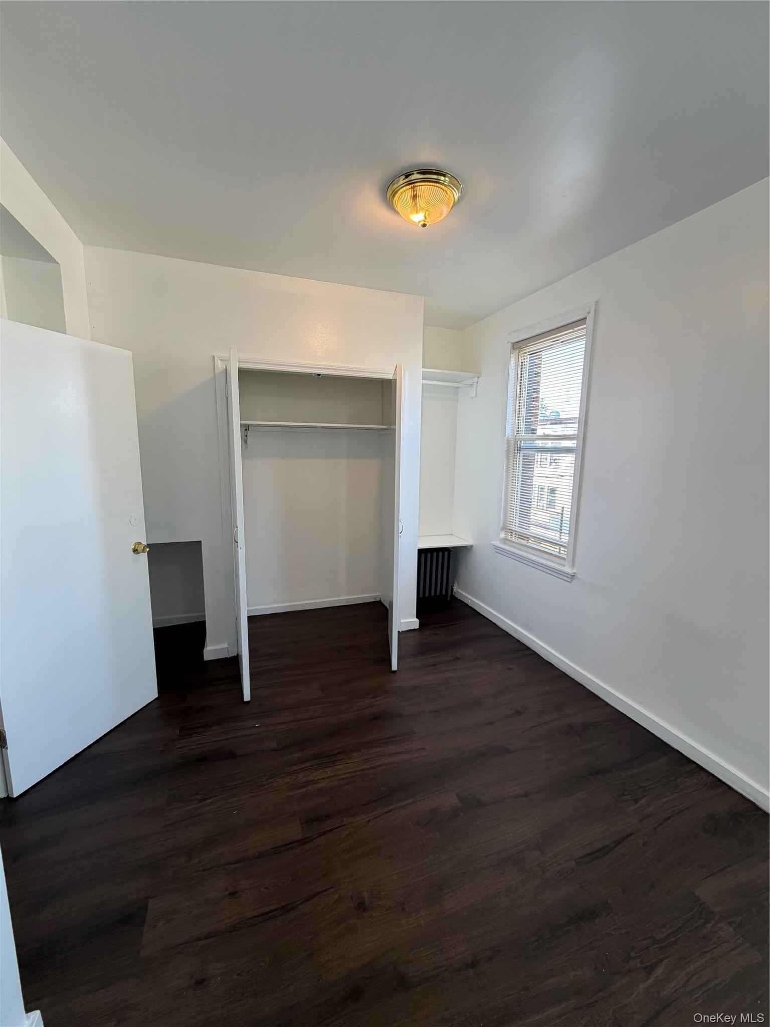 Apartment Chestnut Street Brooklyn, NY 11208, MLS-1033081-9