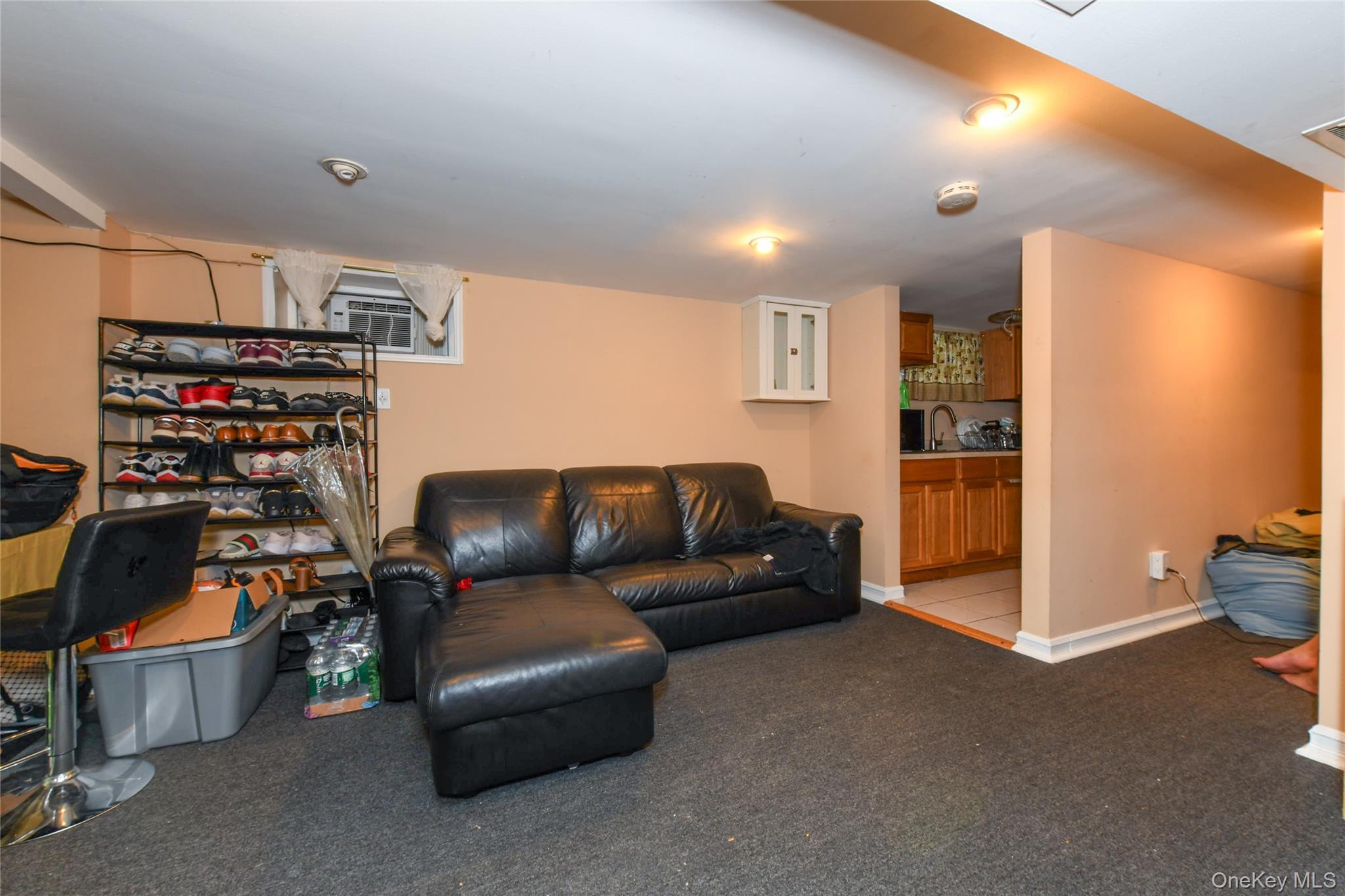 Single Family 116th Avenue Queens, NY 11420, MLS-1033120-24