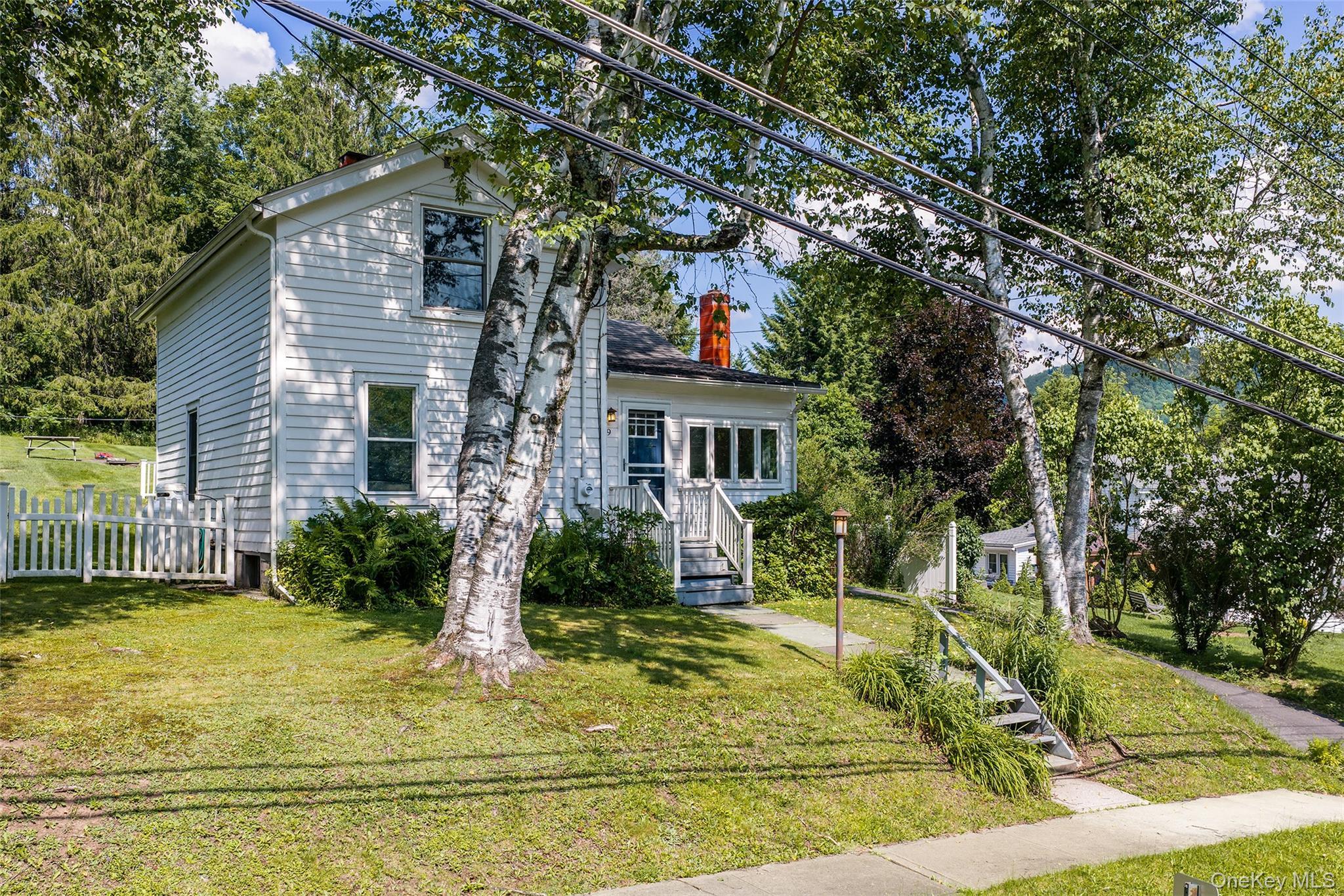 Single Family Franklin Street Delaware County, NY 13753, MLS-1033163-3