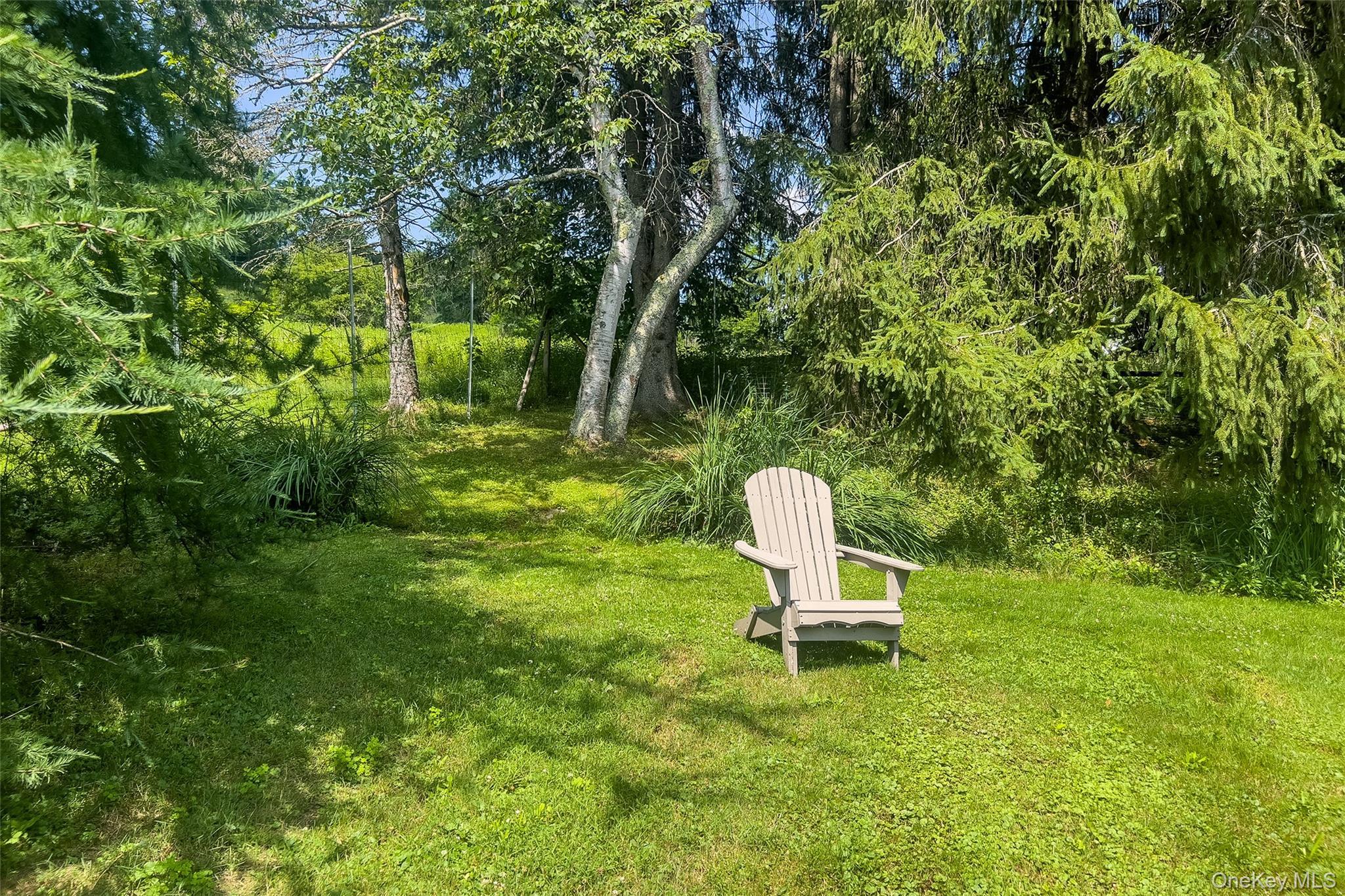 Single Family Franklin Street Delaware County, NY 13753, MLS-1033163-37