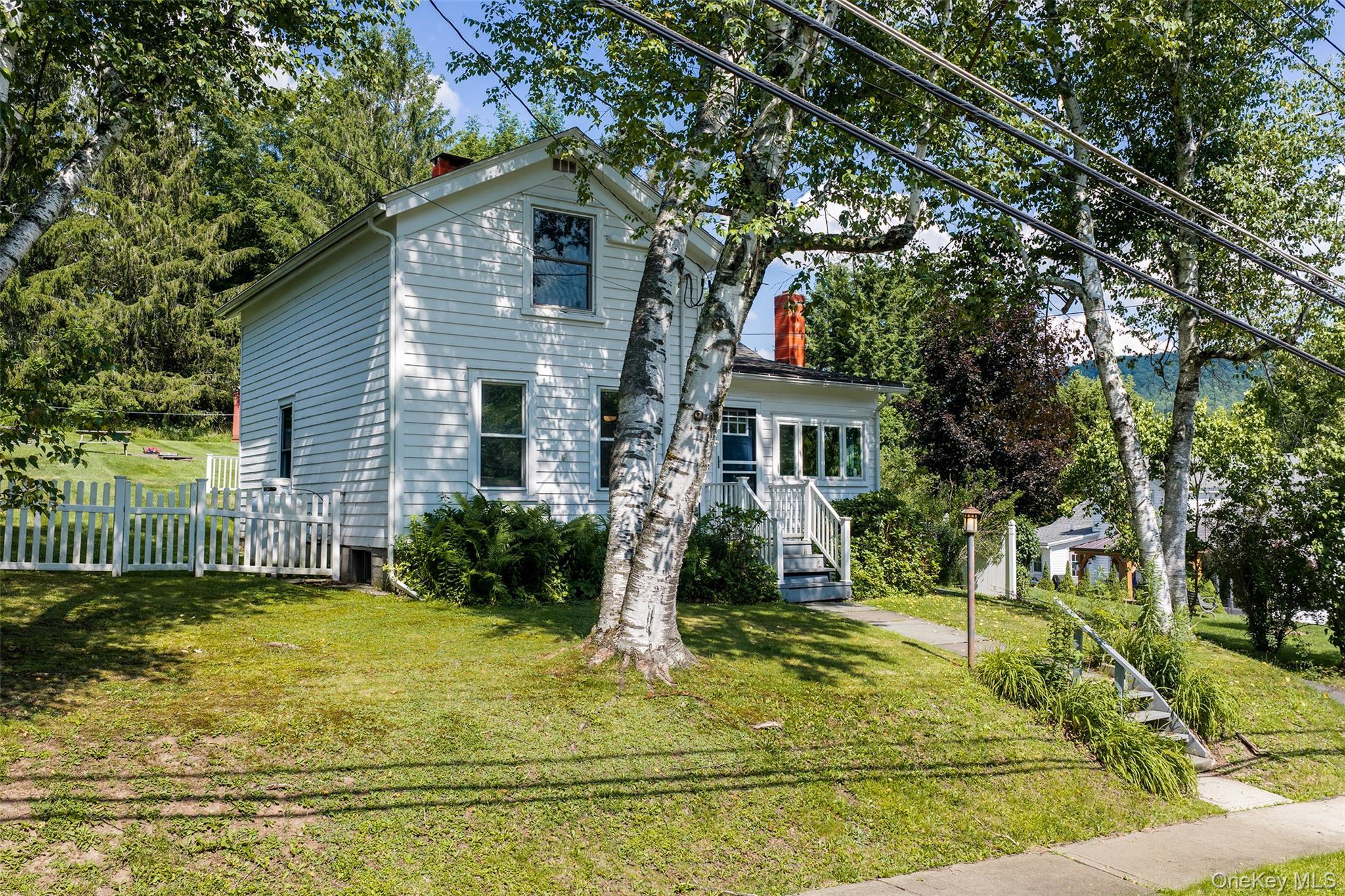 Single Family Franklin Street Delaware County, NY 13753, MLS-1033163-44