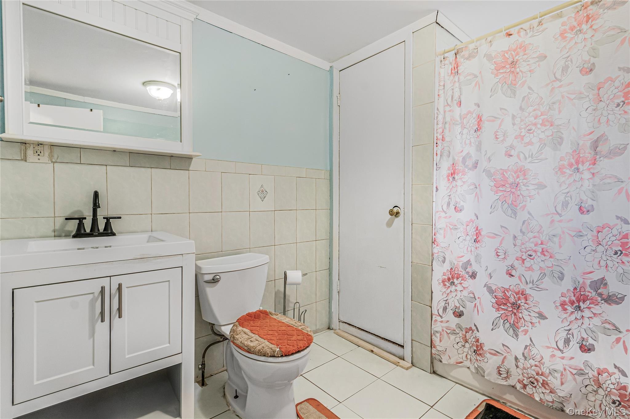 Single Family 172nd Street Queens, NY 11434, MLS-1033181-12
