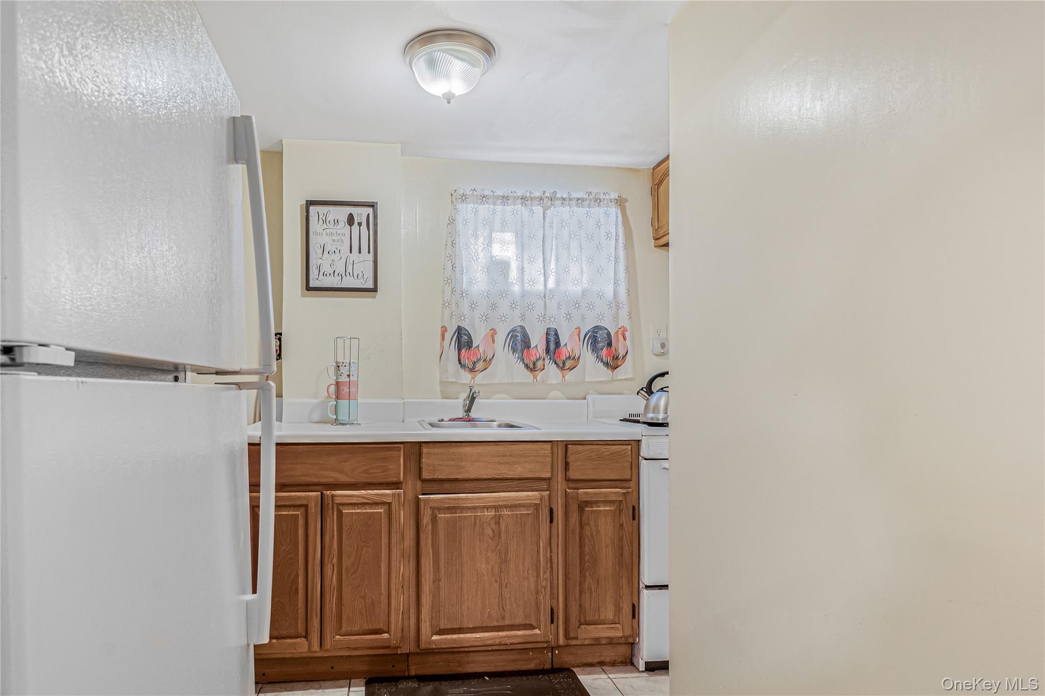 Single Family 172nd Street Queens, NY 11434, MLS-1033181-15