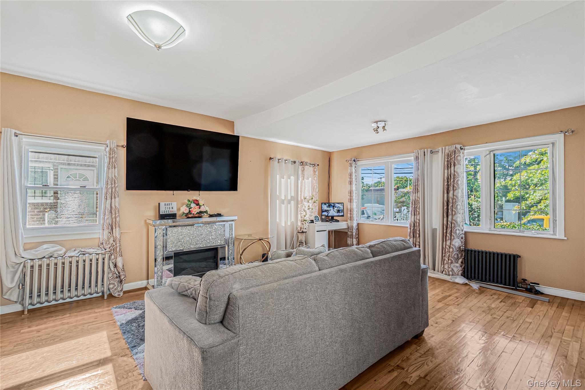 Single Family 172nd Street Queens, NY 11434, MLS-1033181-3