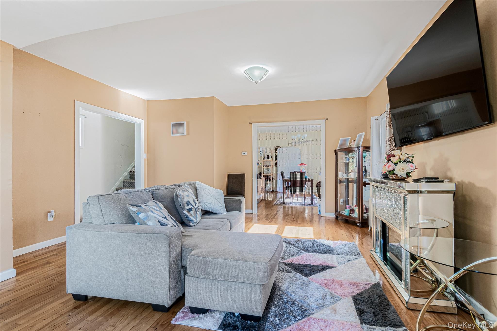 Single Family 172nd Street Queens, NY 11434, MLS-1033181-5
