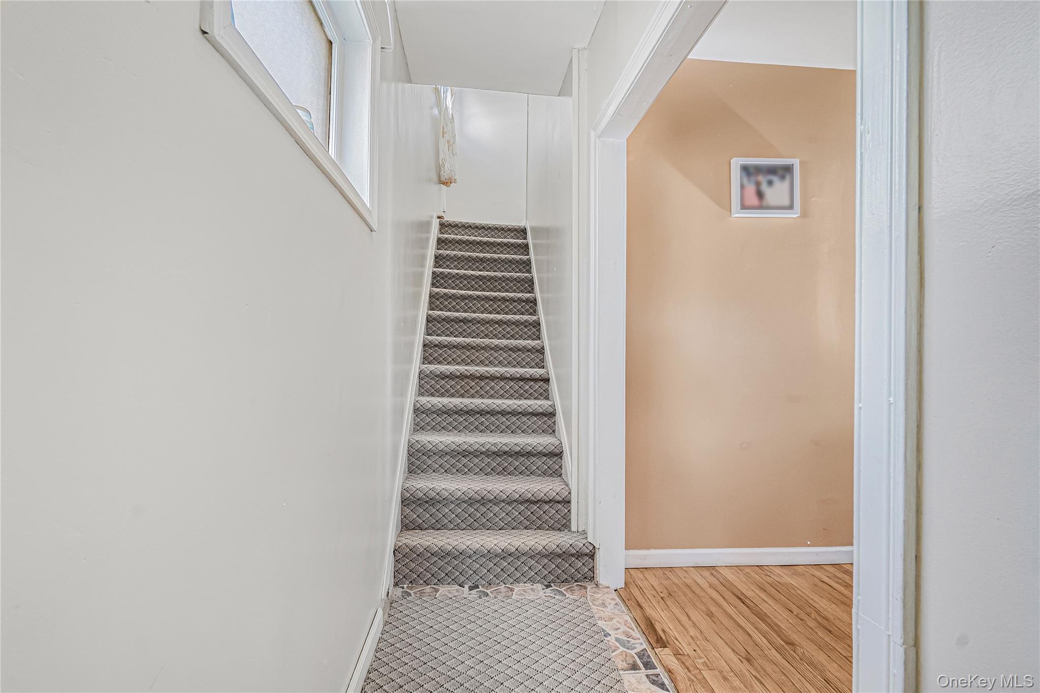 Single Family 172nd Street Queens, NY 11434, MLS-1033181-9