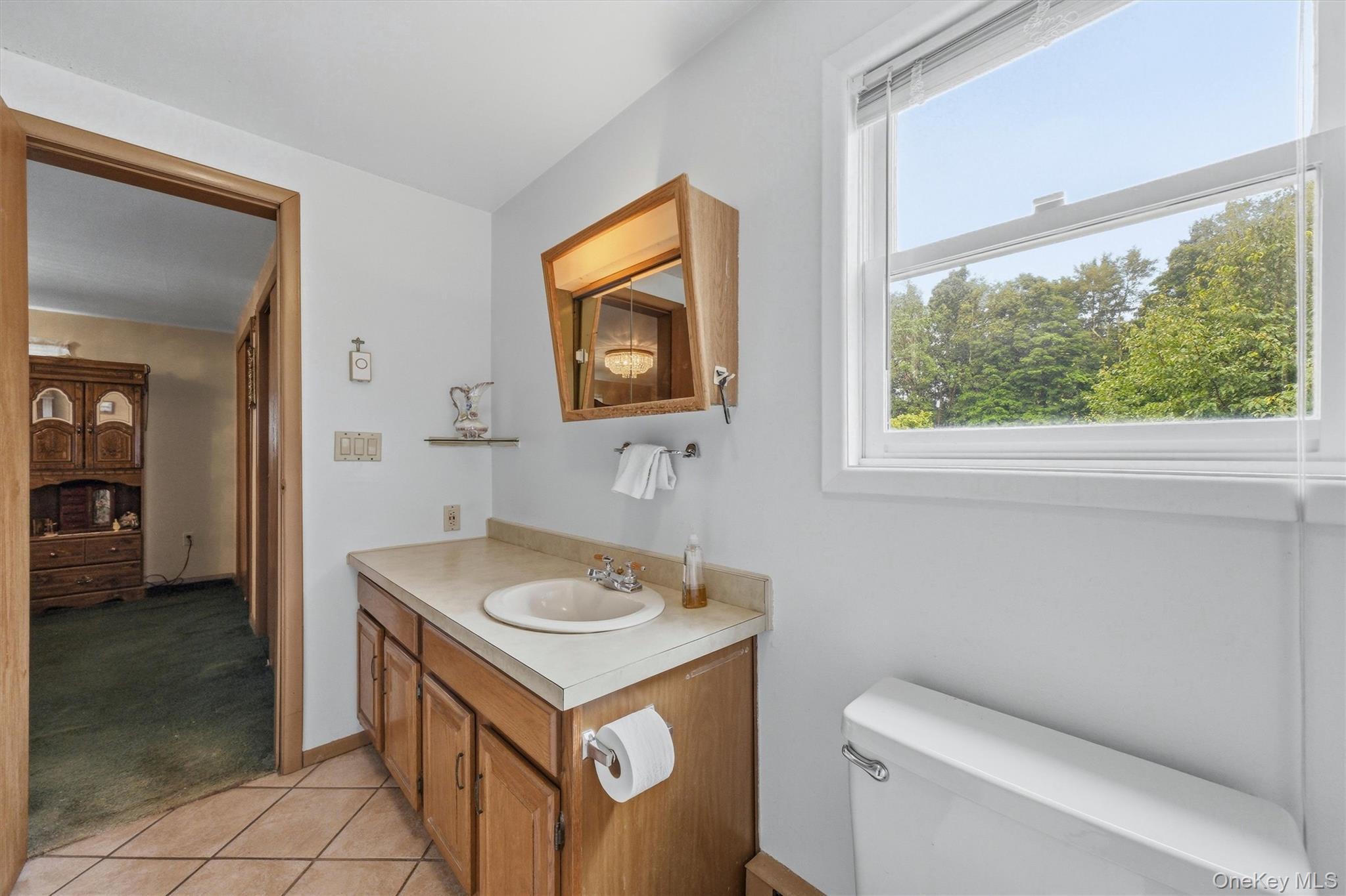 Single Family Reservoir Road Dutchess County, NY 12564, MLS-1033232-23
