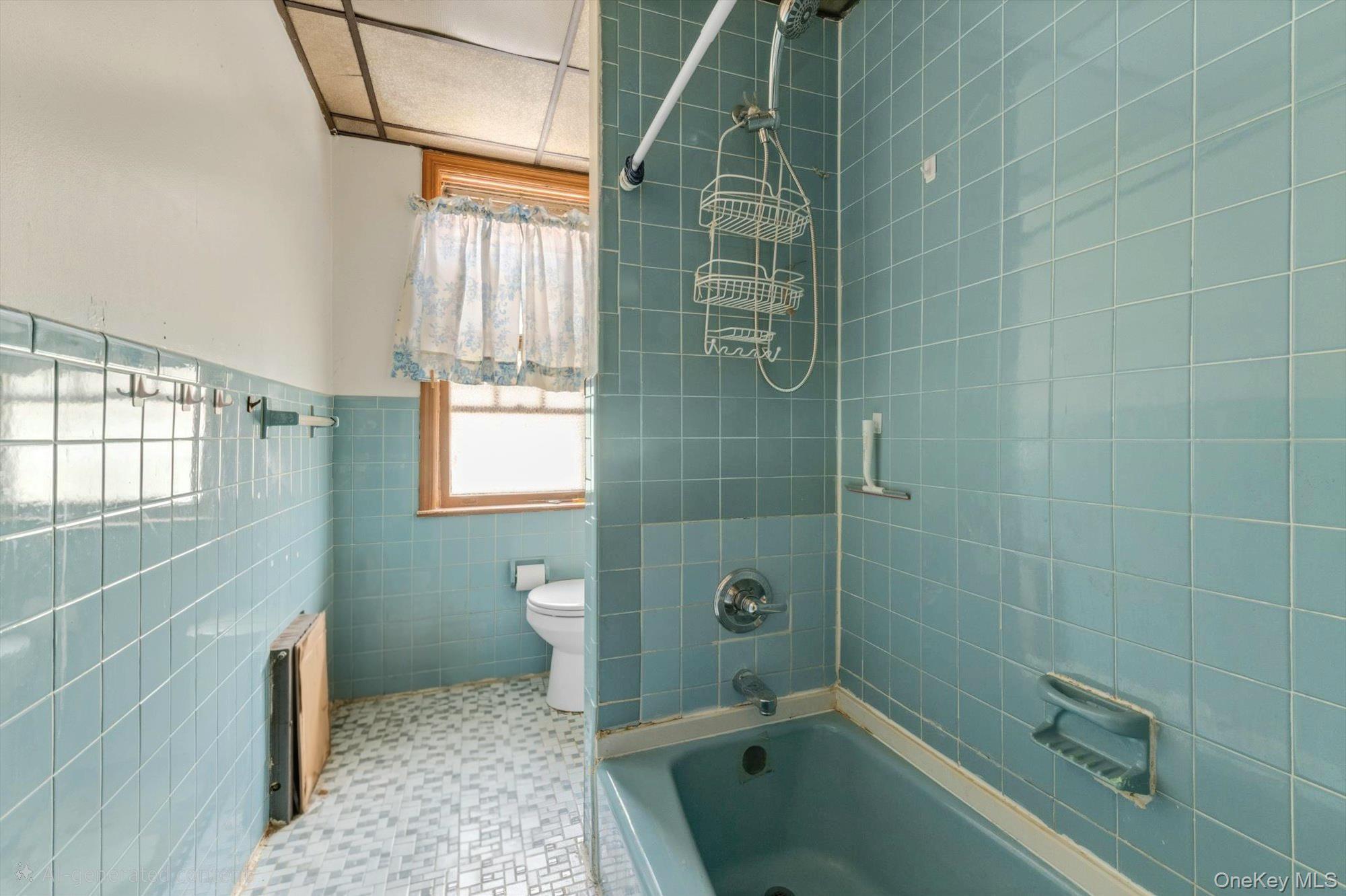 Single Family Booth Street Queens, NY 11374, MLS-1033259-24