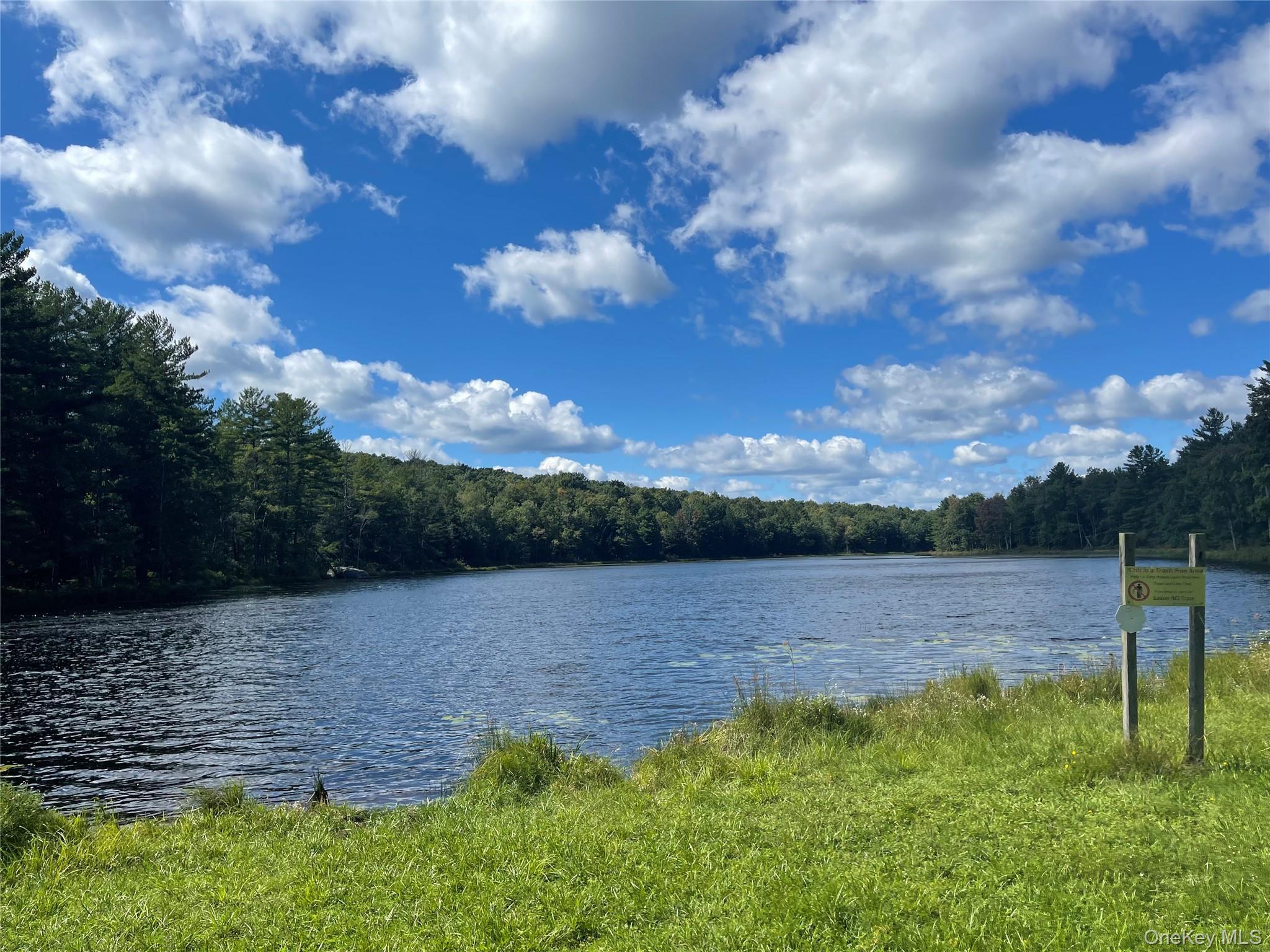Single Family Willow Lane  Sullivan County, NY 12701, MLS-1033266-8