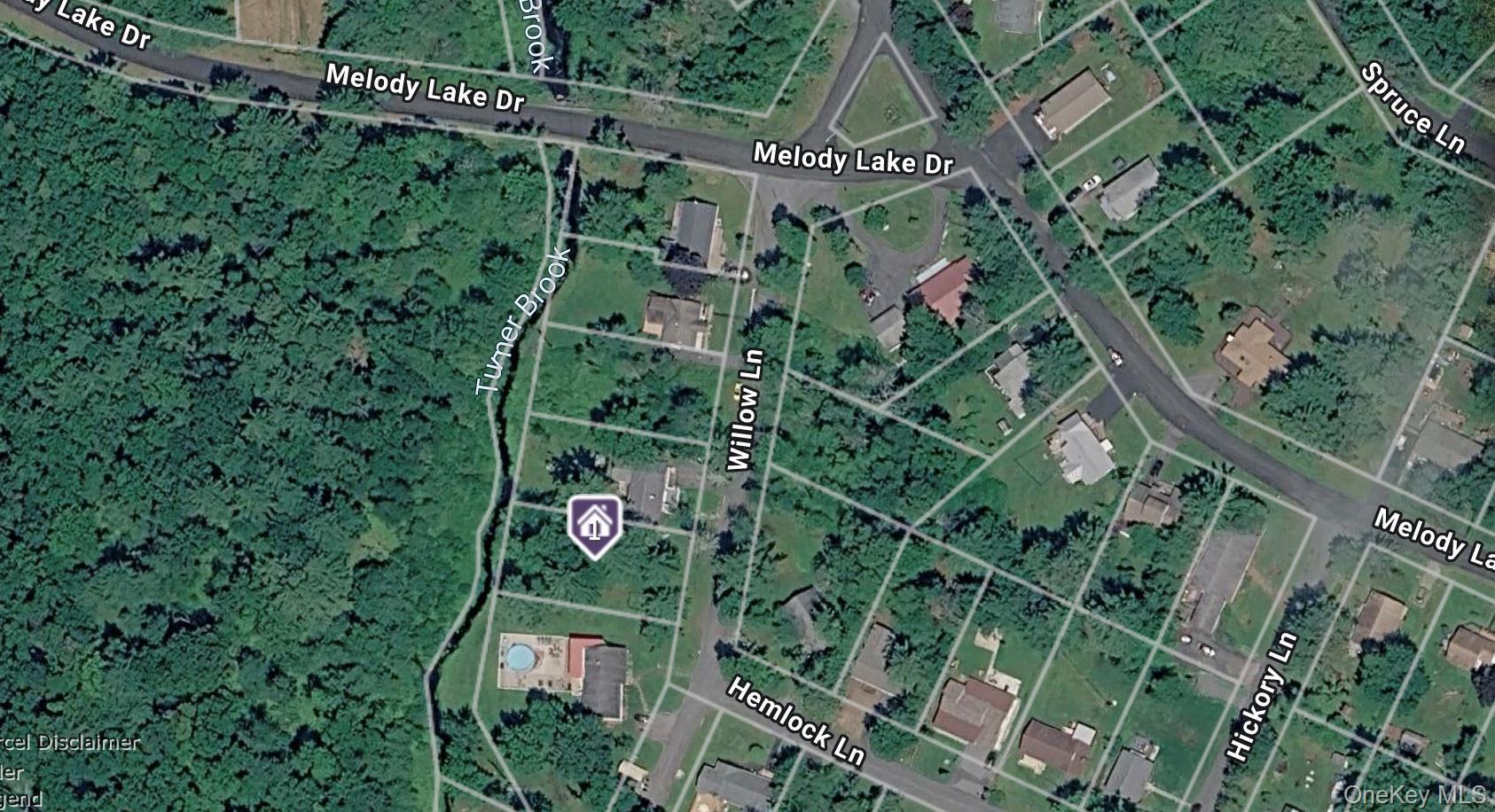 Single Family Willow Lane  Sullivan County, NY 12701, MLS-1033270-7