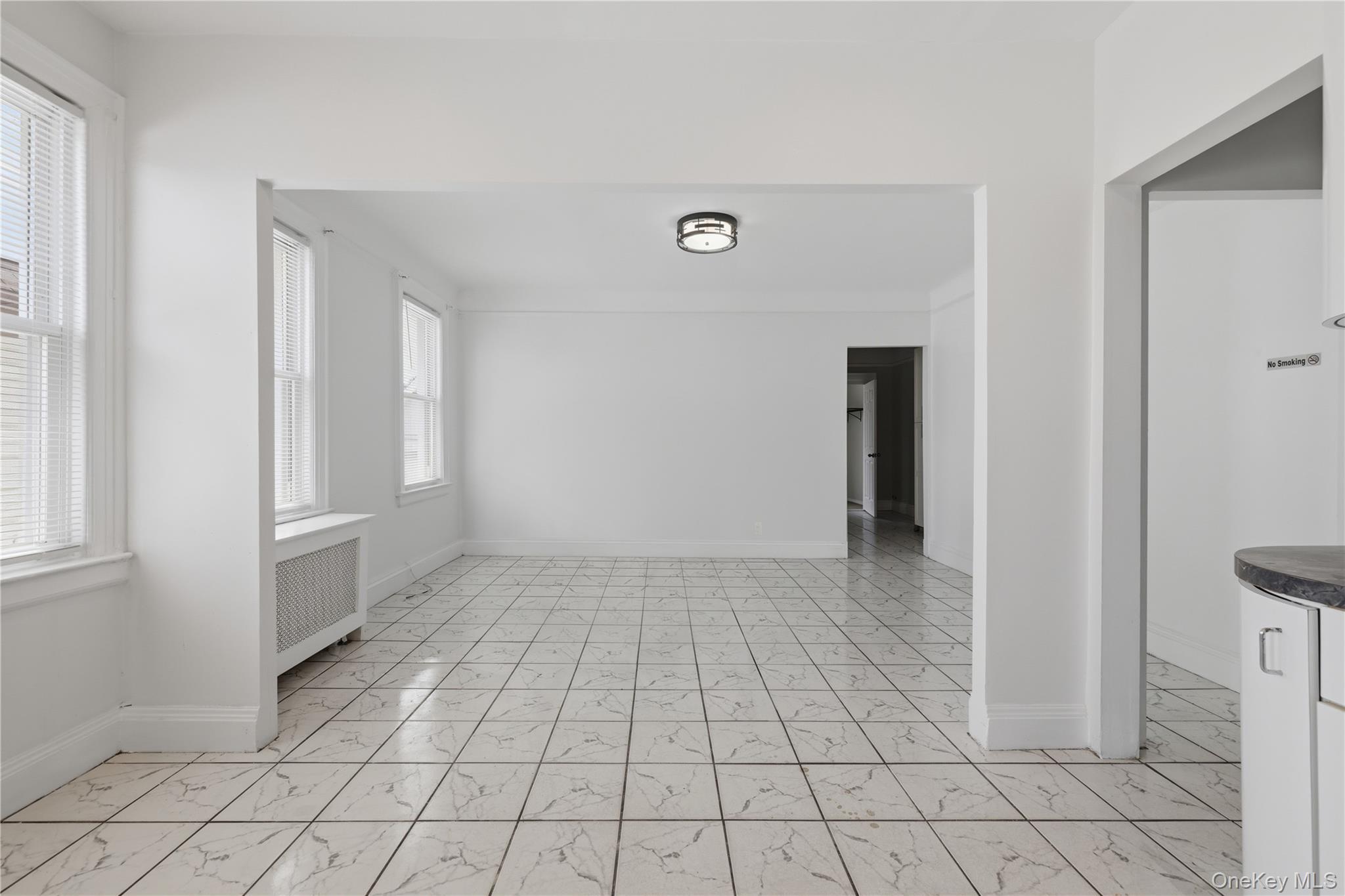 Single Family Cresskill Place Queens, NY 11435, MLS-1033276-11