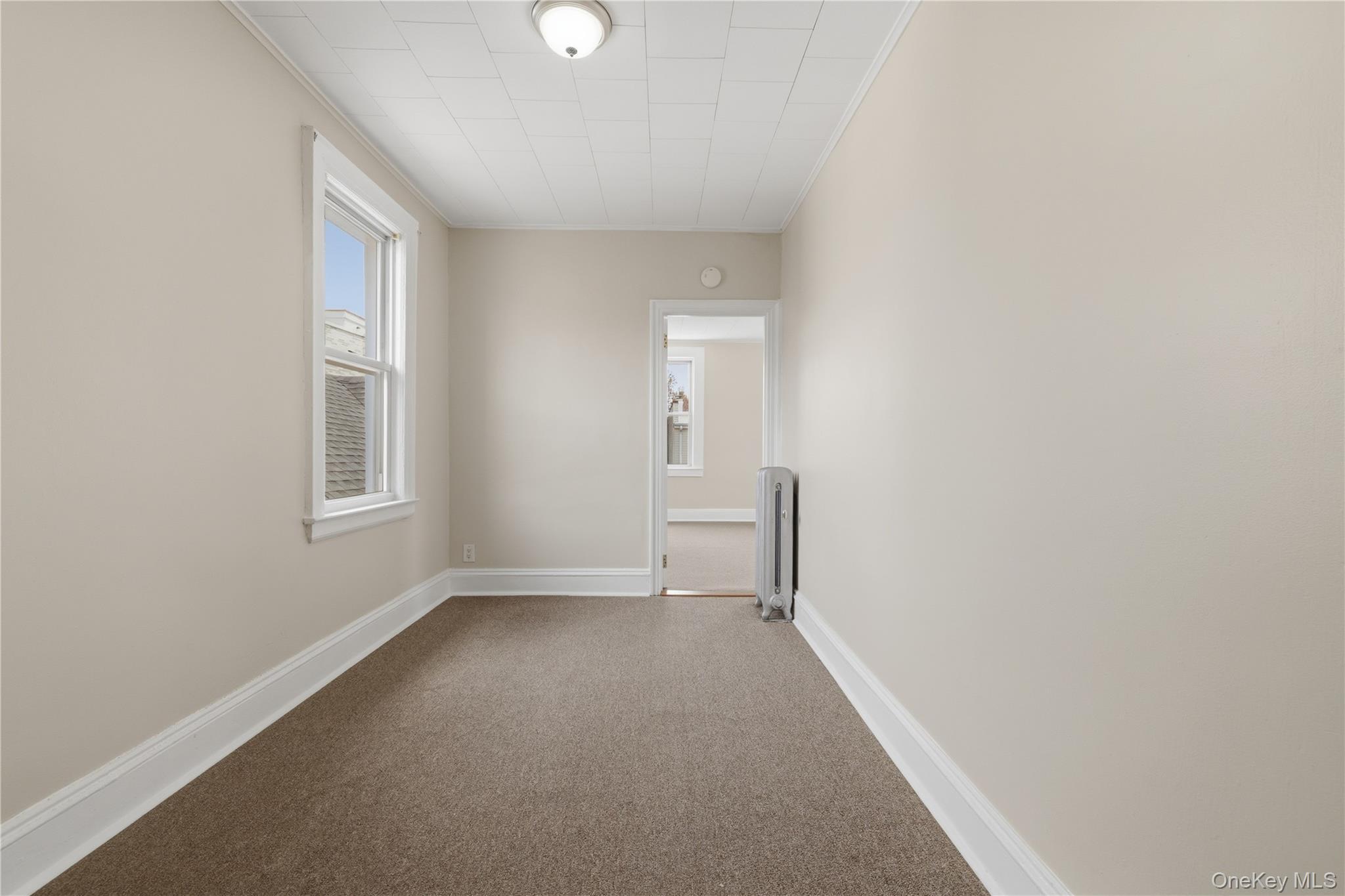 Single Family Cresskill Place Queens, NY 11435, MLS-1033276-14