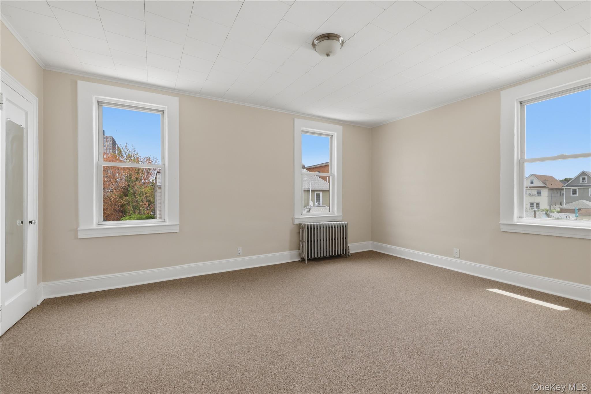 Single Family Cresskill Place Queens, NY 11435, MLS-1033276-16