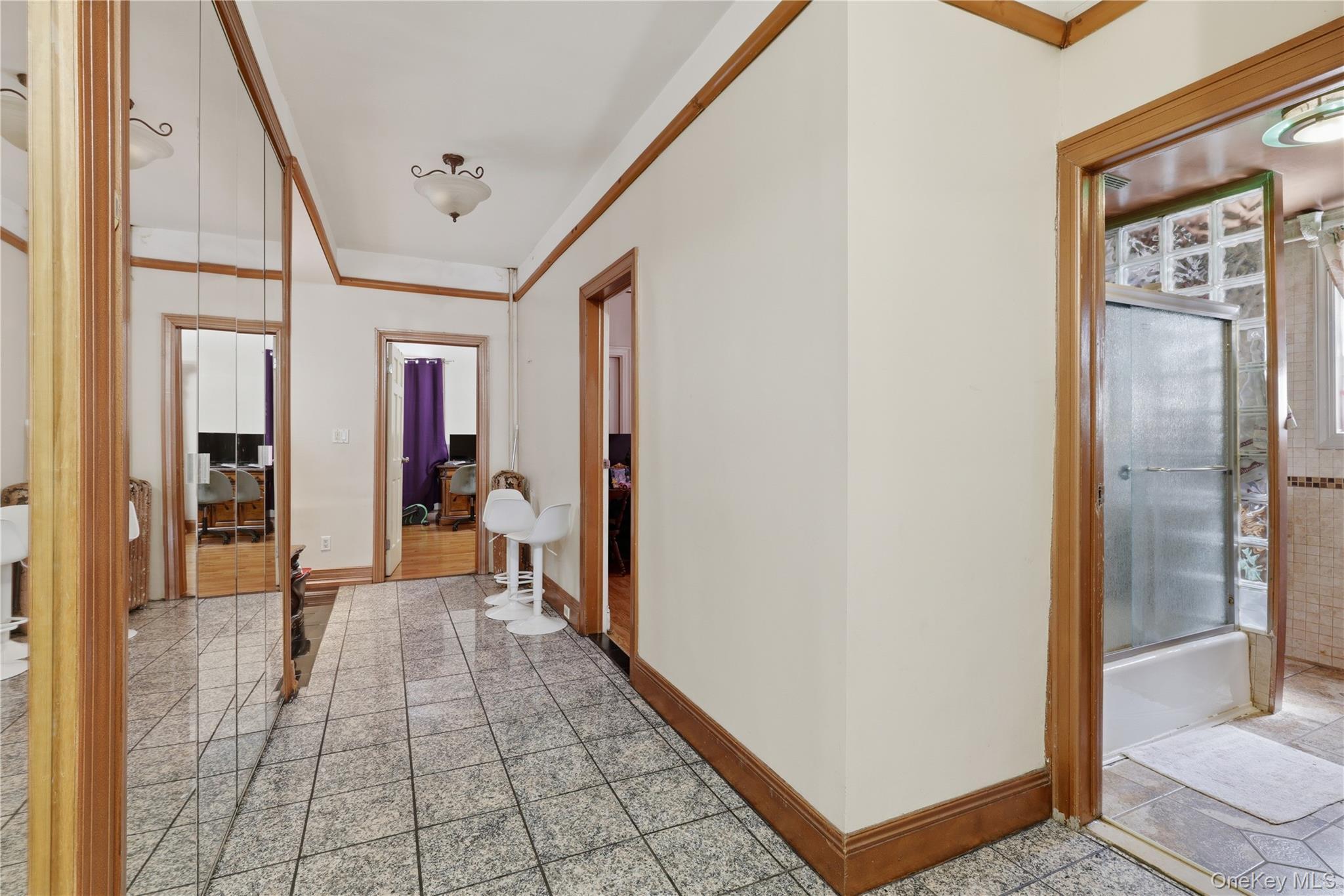 Single Family Cresskill Place Queens, NY 11435, MLS-1033276-4