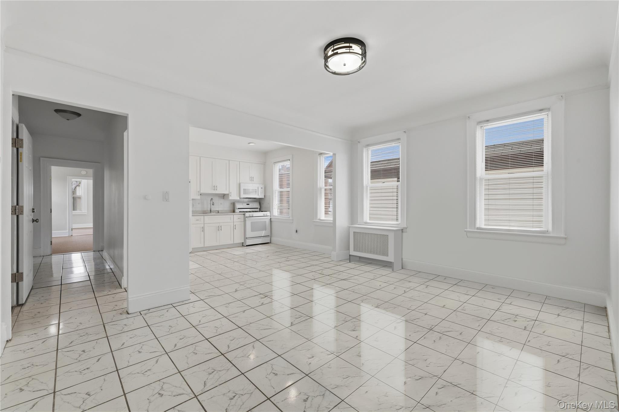 Single Family Cresskill Place Queens, NY 11435, MLS-1033276-9