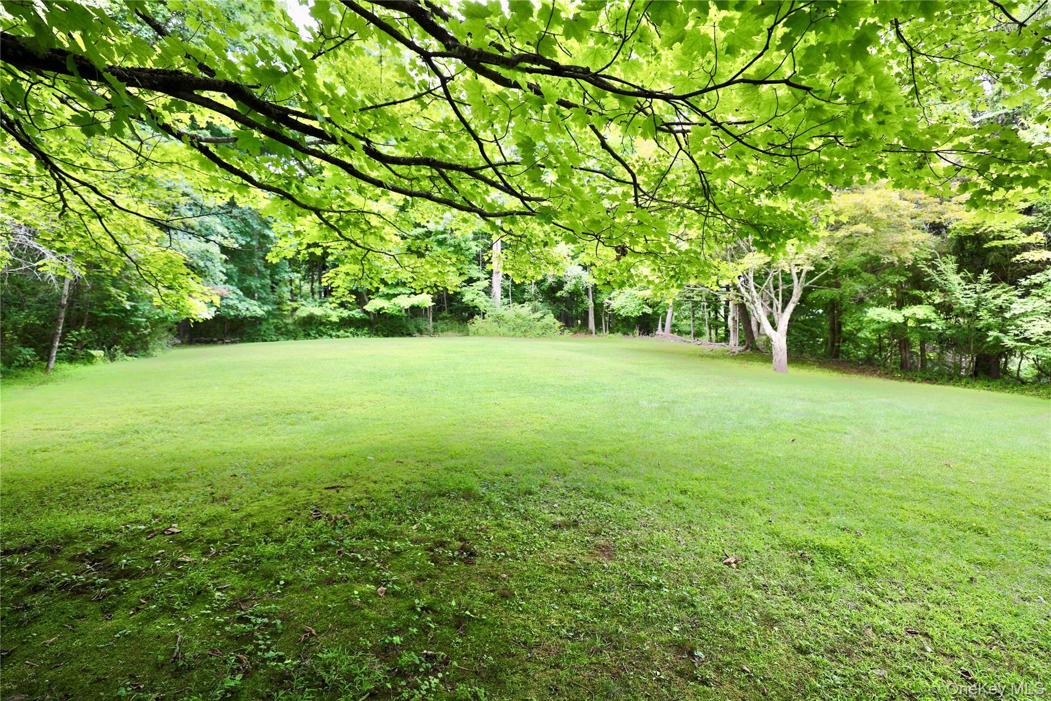 Single Family Morningside Drive  Westchester County, NY 10562, MLS-1033351-26