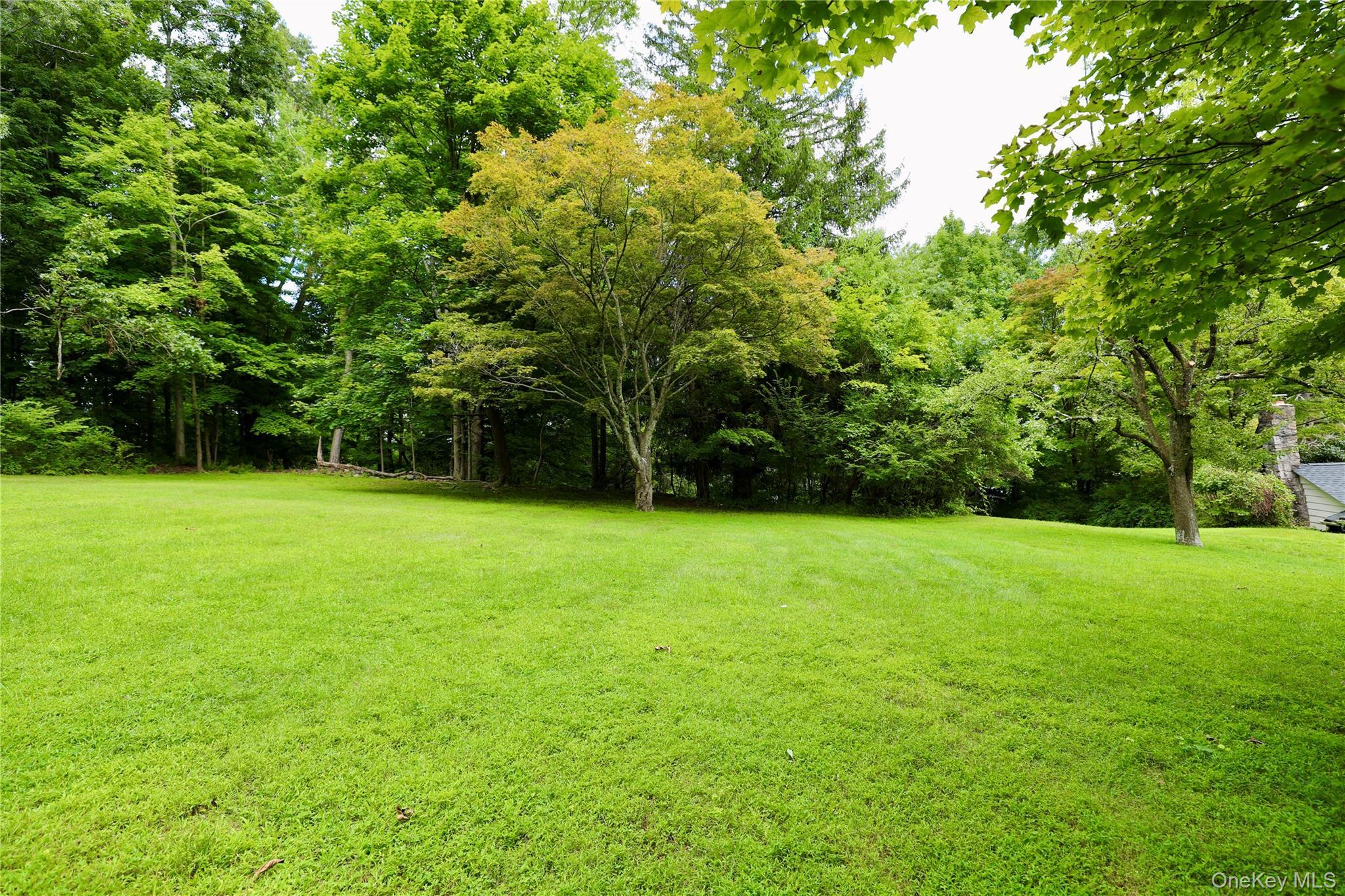 Single Family Morningside Drive  Westchester County, NY 10562, MLS-1033351-28