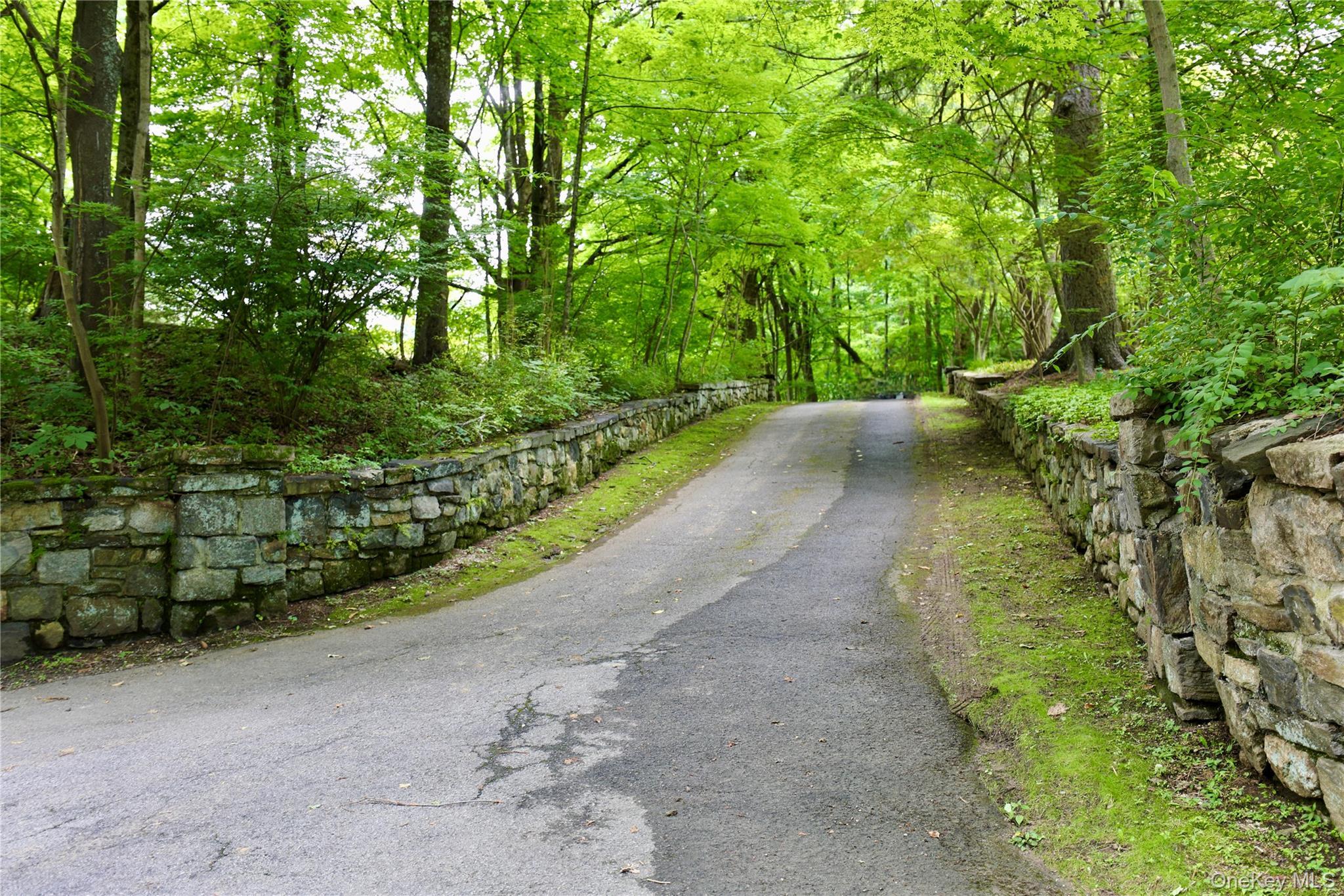 Single Family Morningside Drive  Westchester County, NY 10562, MLS-1033351-4