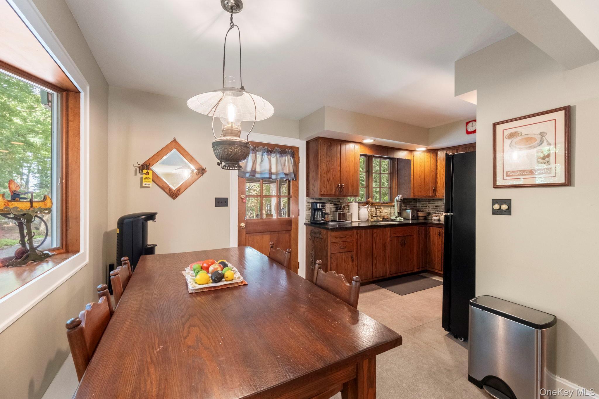 Single Family S Shore Drive  Sullivan County, NY 12790, MLS-1033374-9