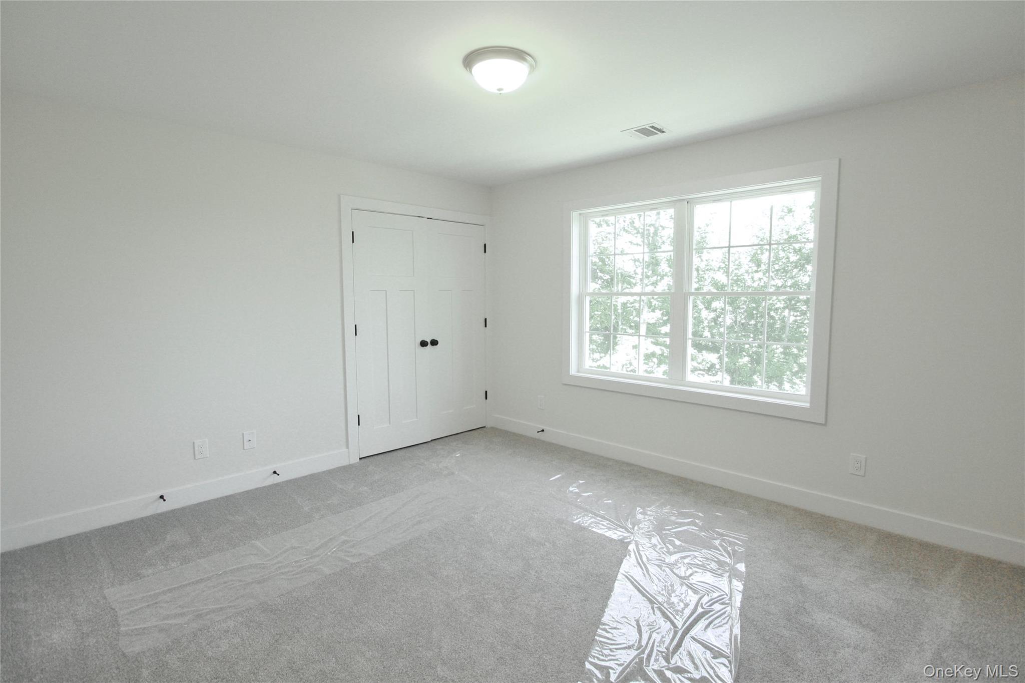 Single Family Frank Street Orange County, NY 12553, MLS-1033393-17