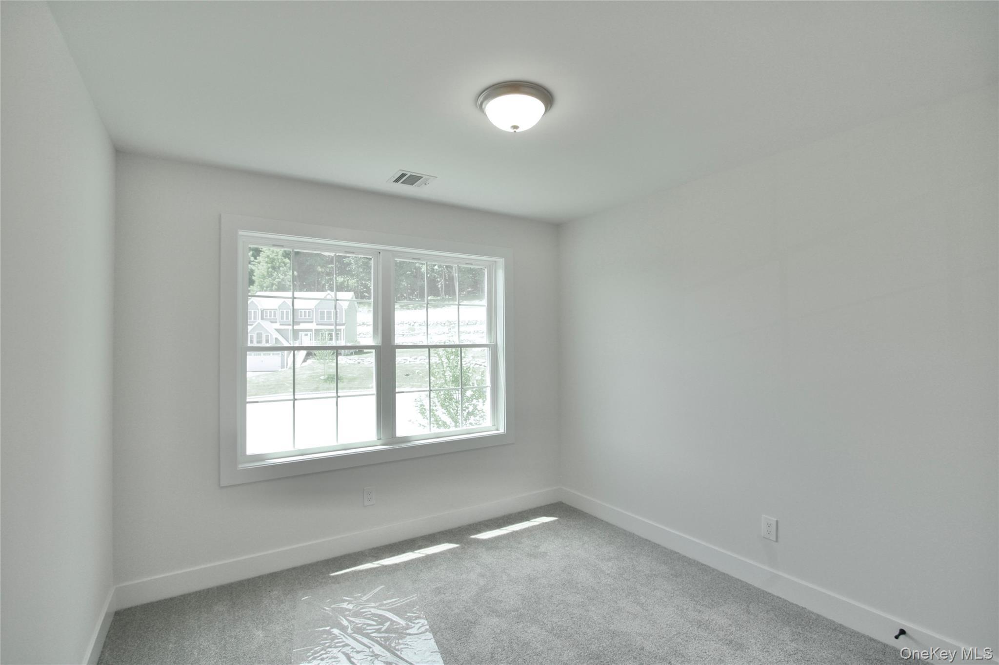 Single Family Frank Street Orange County, NY 12553, MLS-1033393-21