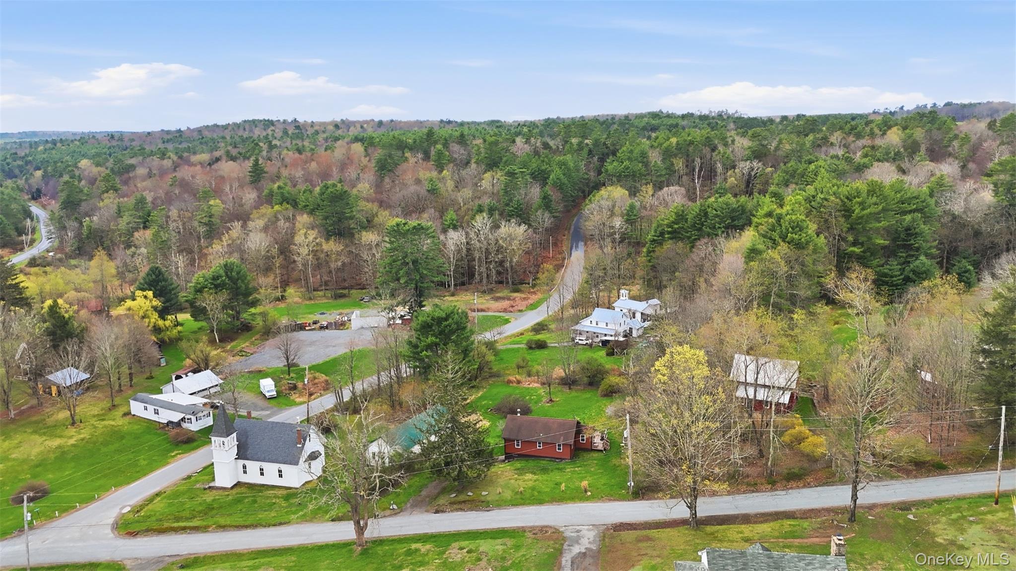 Single Family Old County Road Sullivan County, NY 12726, MLS-1033396-5