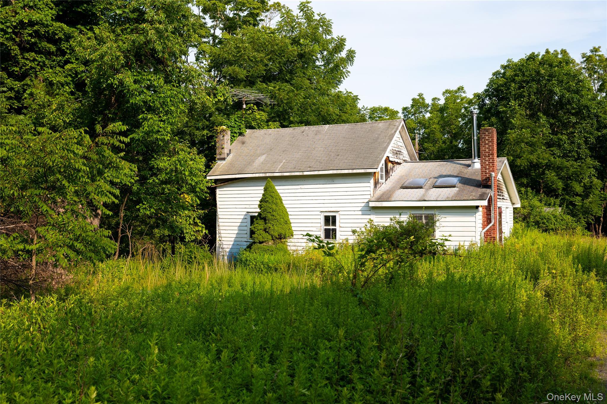 Single Family Hill Road Ulster County, NY 12404, MLS-1033397-12