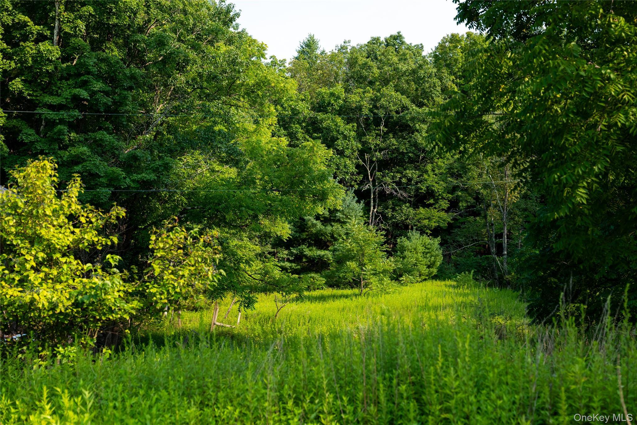 Single Family Hill Road Ulster County, NY 12404, MLS-1033397-22