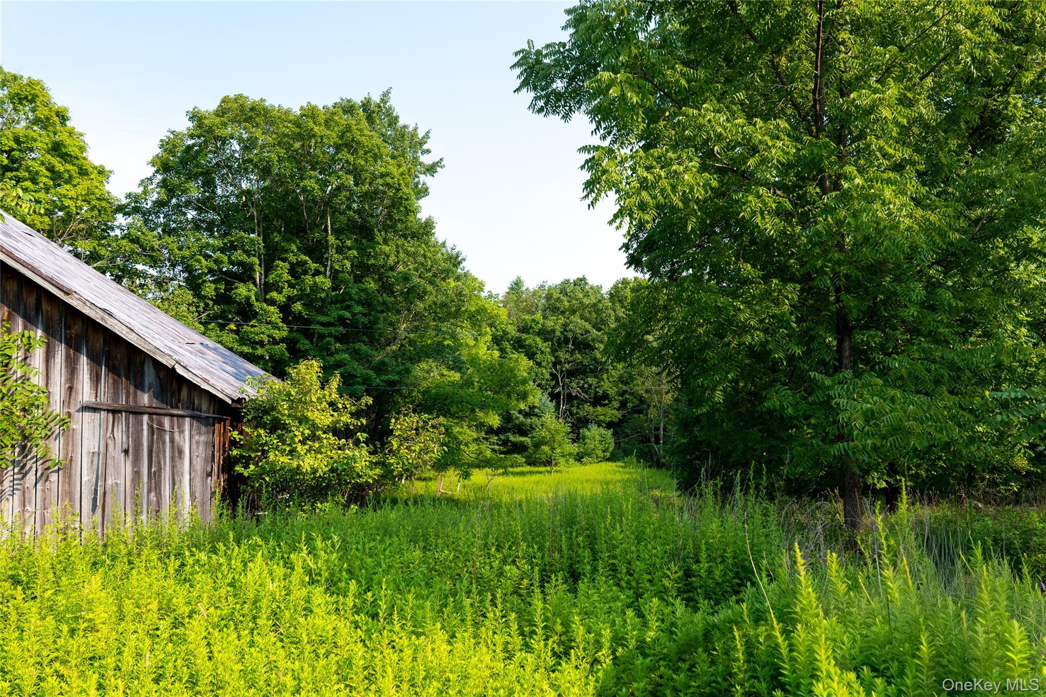 Single Family Hill Road Ulster County, NY 12404, MLS-1033397-23