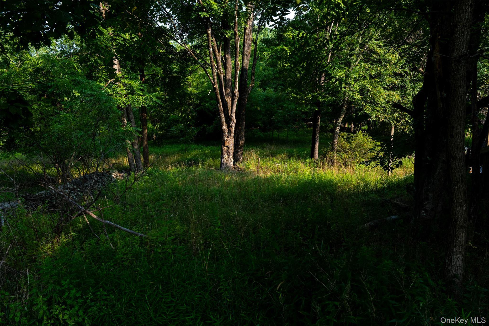 Single Family Hill Road Ulster County, NY 12404, MLS-1033397-30