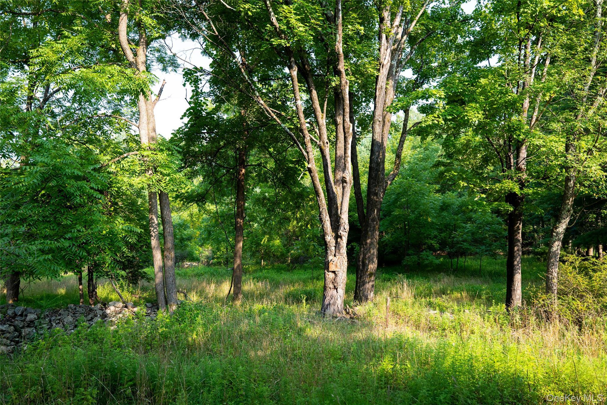 Single Family Hill Road Ulster County, NY 12404, MLS-1033397-31