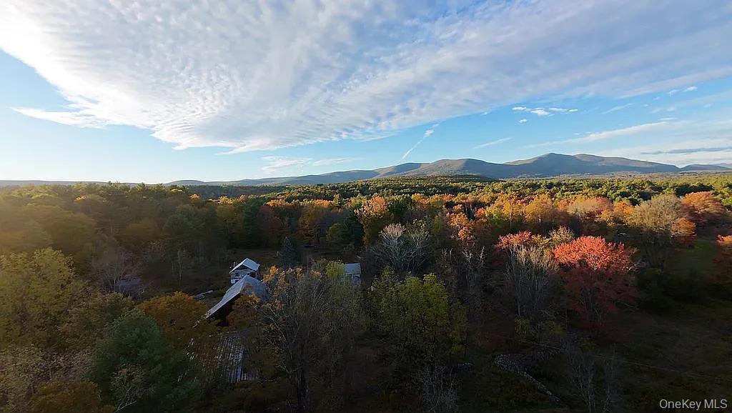 Single Family Hill Road Ulster County, NY 12404, MLS-1033397-4