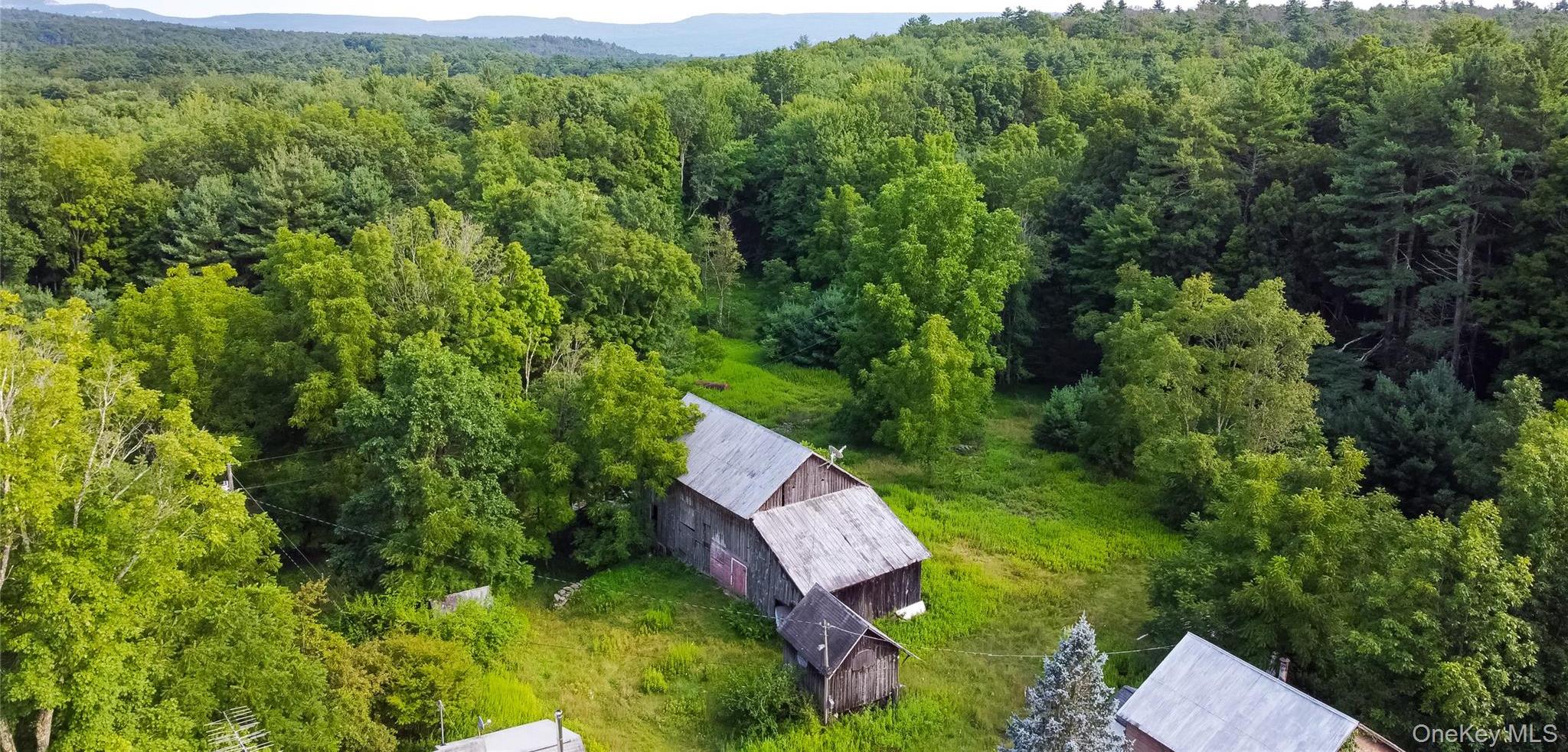 Single Family Hill Road  Ulster County, NY 12404, MLS-1033397-43