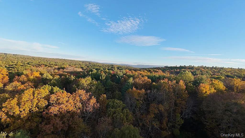 Single Family Hill Road Ulster County, NY 12404, MLS-1033397-7
