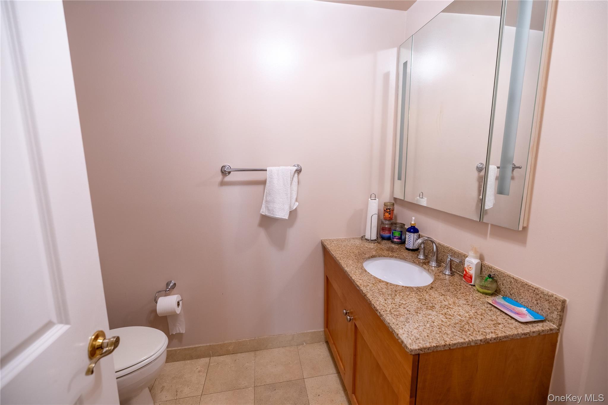 Condo Royce Street Brooklyn, NY 11234, MLS-1033412-6