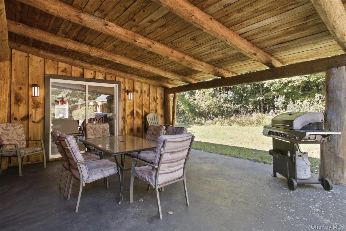 Single Family South Rd. Greene County, NY 12473, MLS-1033424-20