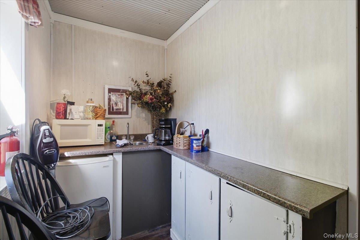 Single Family South Rd. Greene County, NY 12473, MLS-1033424-25