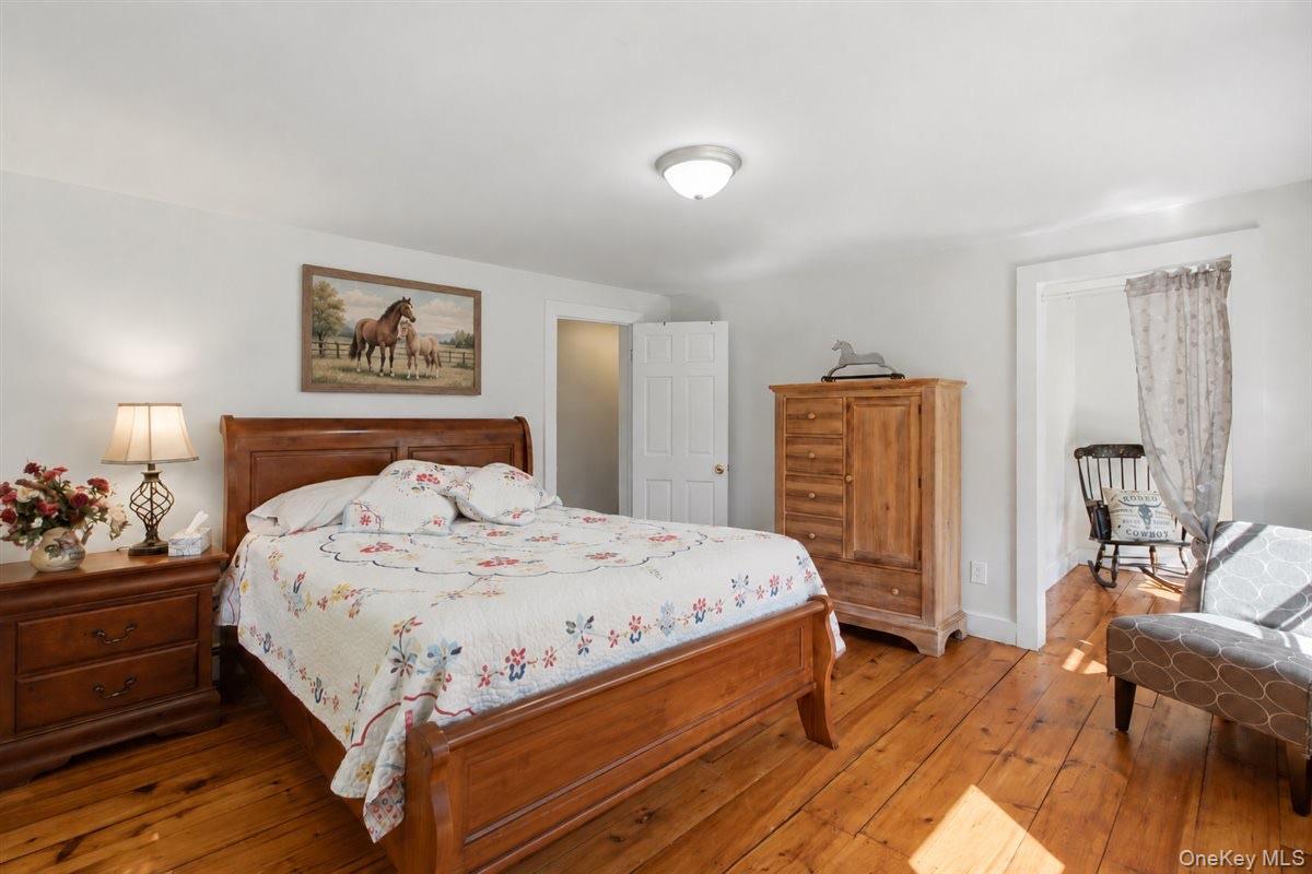 Single Family South Rd. Greene County, NY 12473, MLS-1033424-5